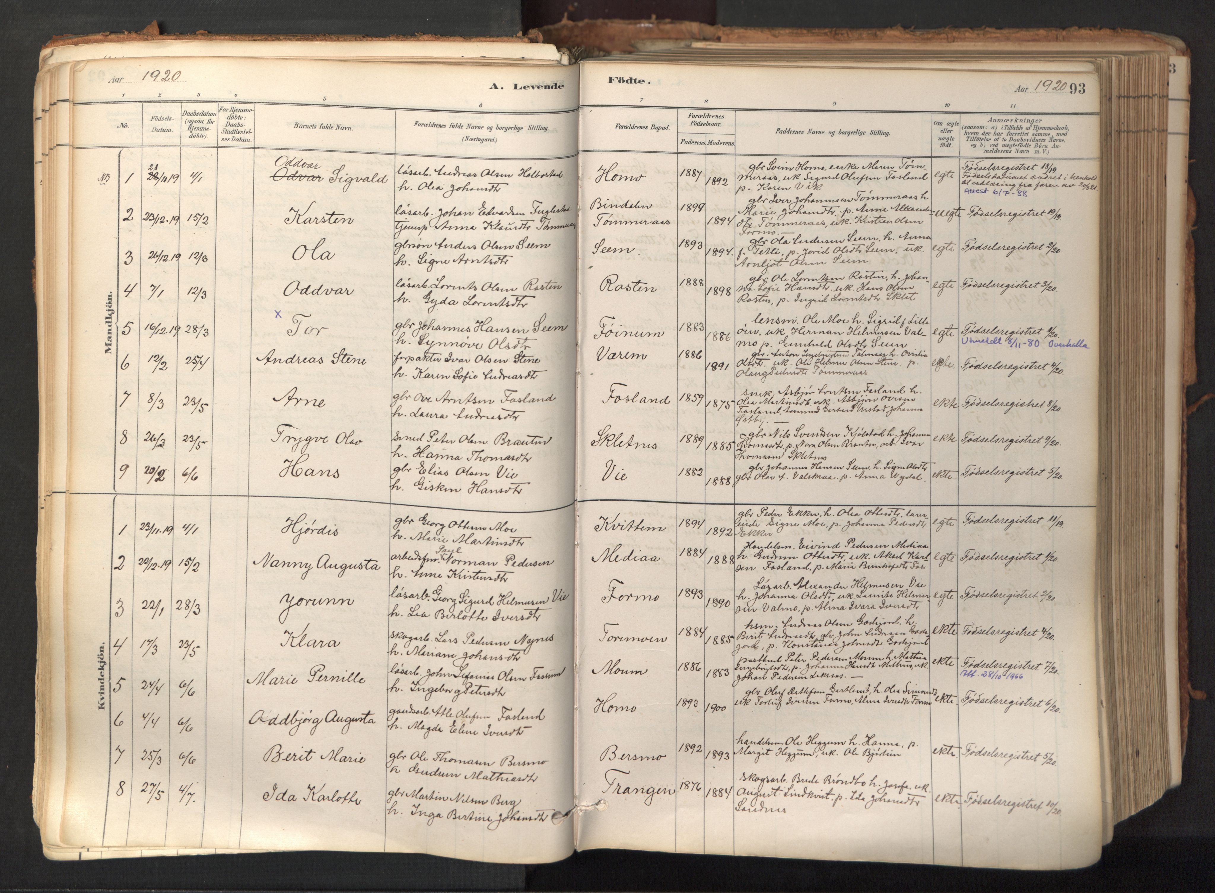 Ministerialprotokoller, klokkerbøker og fødselsregistre - Nord-Trøndelag, AV/SAT-A-1458/758/L0519: Parish register (official) no. 758A04, 1880-1926, p. 93
