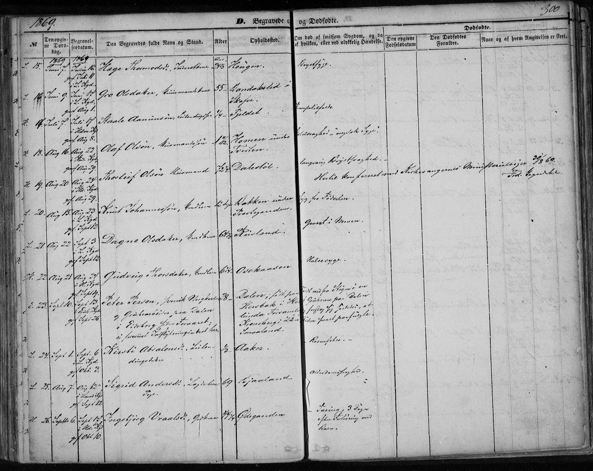 Lårdal kirkebøker, SAKO/A-284/F/Fa/L0006: Parish register (official) no. I 6, 1861-1886, p. 300