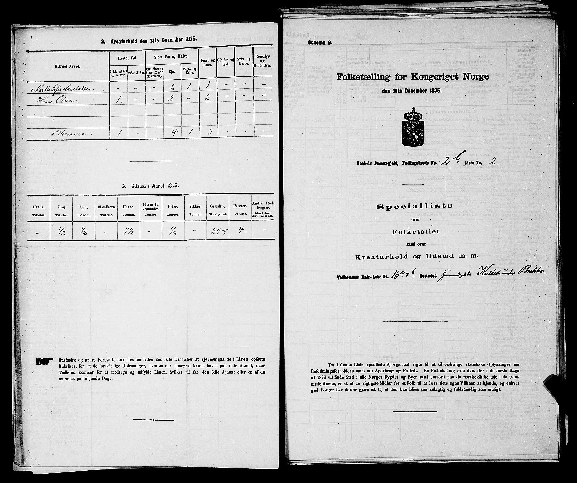 RA, 1875 census for 0138P Hobøl, 1875, p. 209