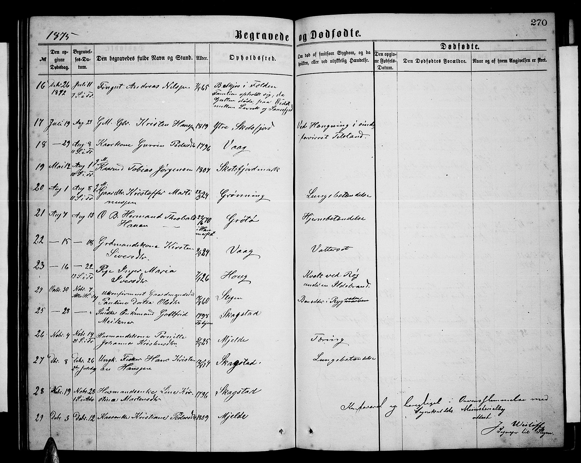 Ministerialprotokoller, klokkerbøker og fødselsregistre - Nordland, AV/SAT-A-1459/855/L0815: Parish register (copy) no. 855C04, 1865-1878, p. 270