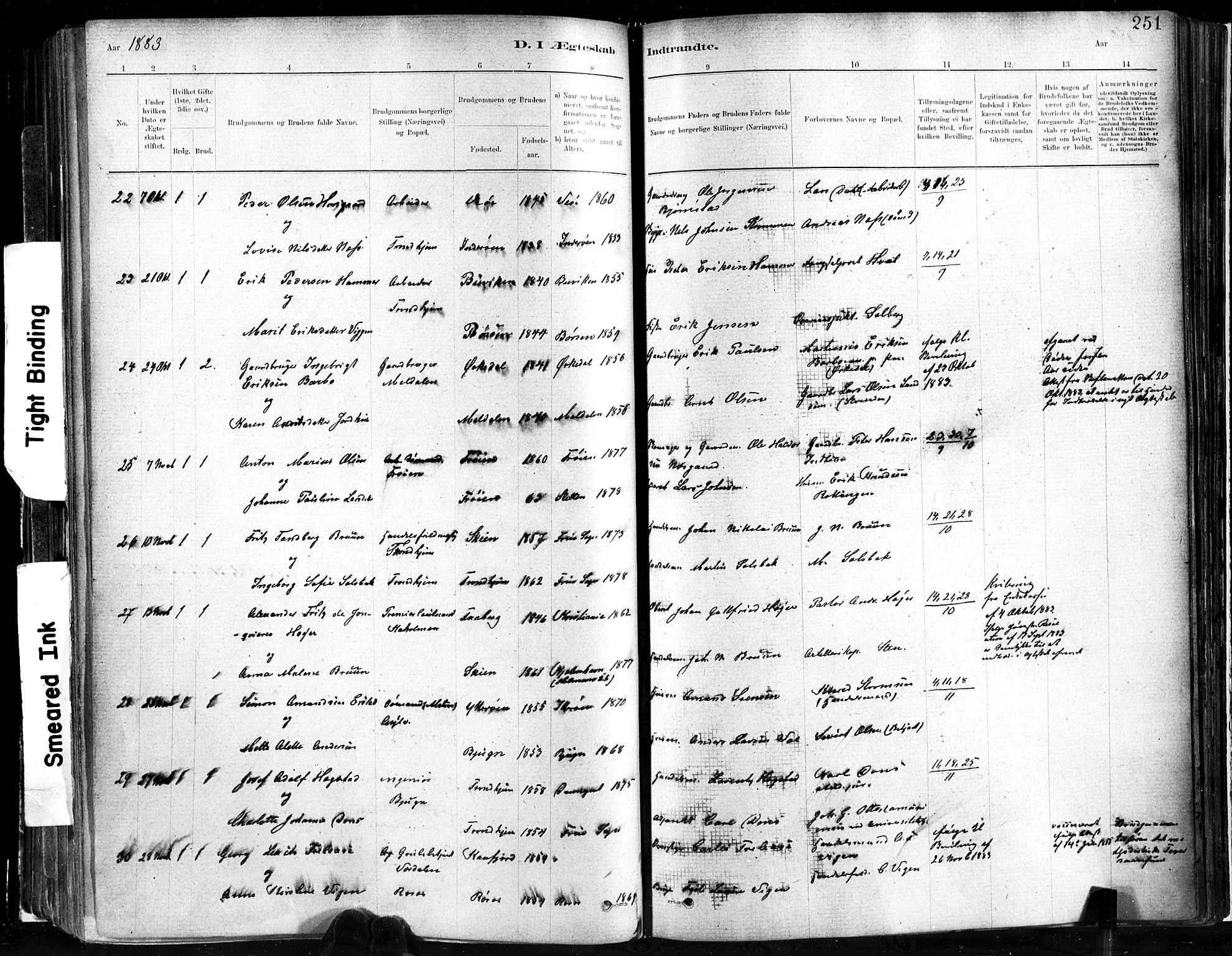 Ministerialprotokoller, klokkerbøker og fødselsregistre - Sør-Trøndelag, SAT/A-1456/602/L0119: Parish register (official) no. 602A17, 1880-1901, p. 251