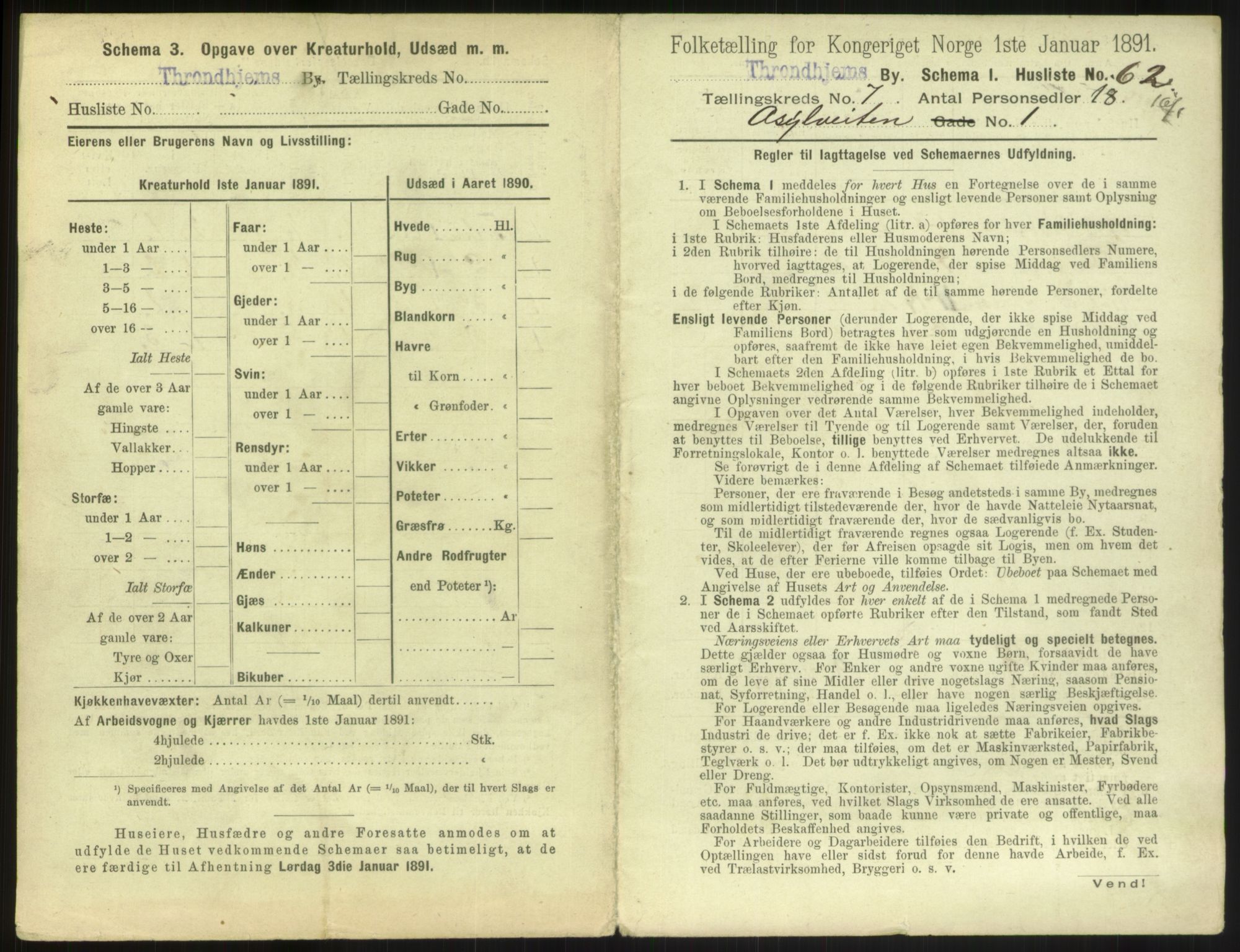 RA, 1891 census for 1601 Trondheim, 1891, p. 862