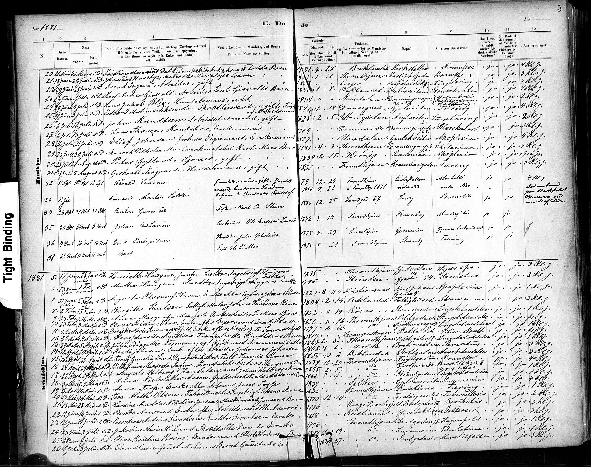 Ministerialprotokoller, klokkerbøker og fødselsregistre - Sør-Trøndelag, AV/SAT-A-1456/602/L0120: Parish register (official) no. 602A18, 1880-1913, p. 5