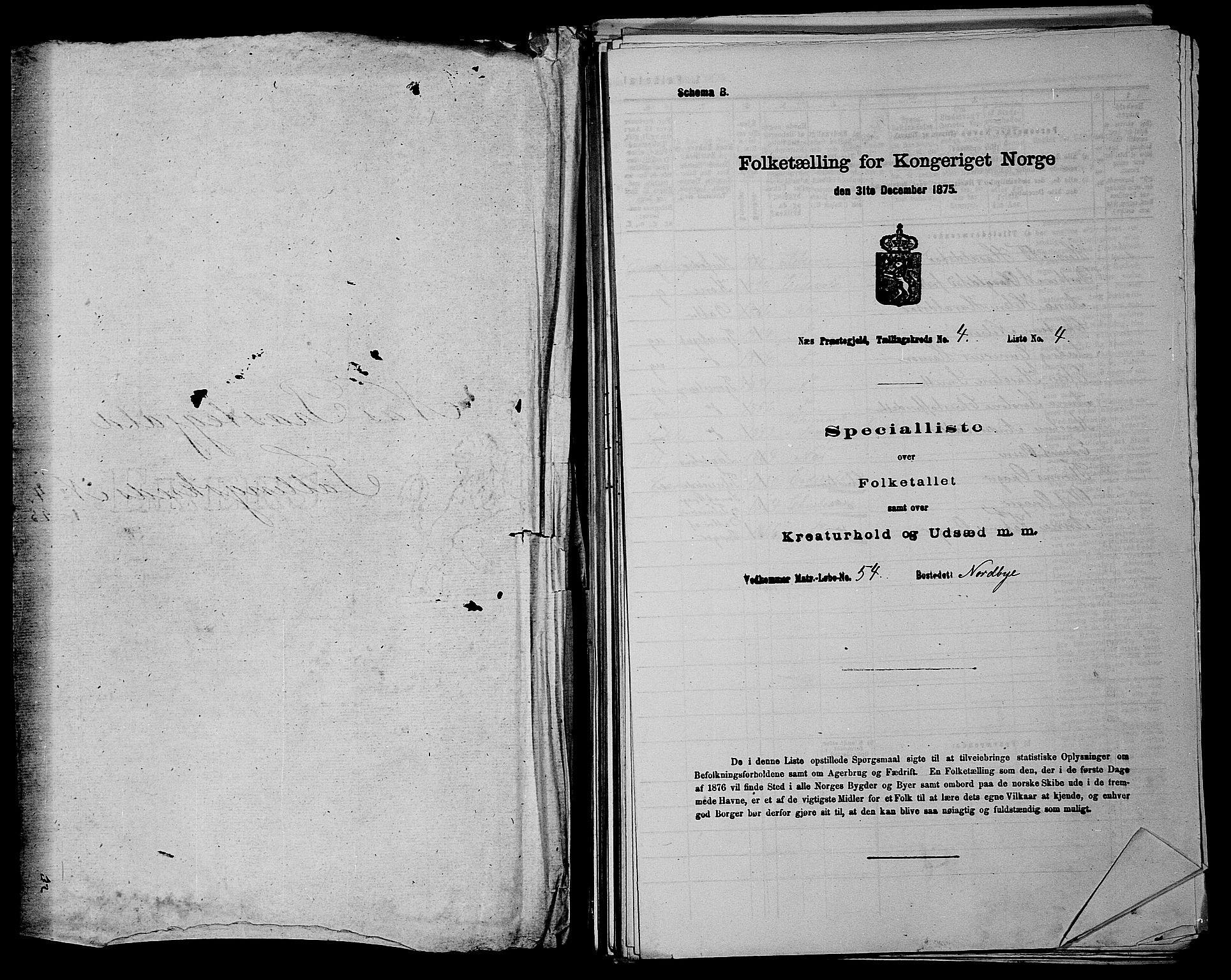 RA, 1875 census for 0236P Nes, 1875, p. 495