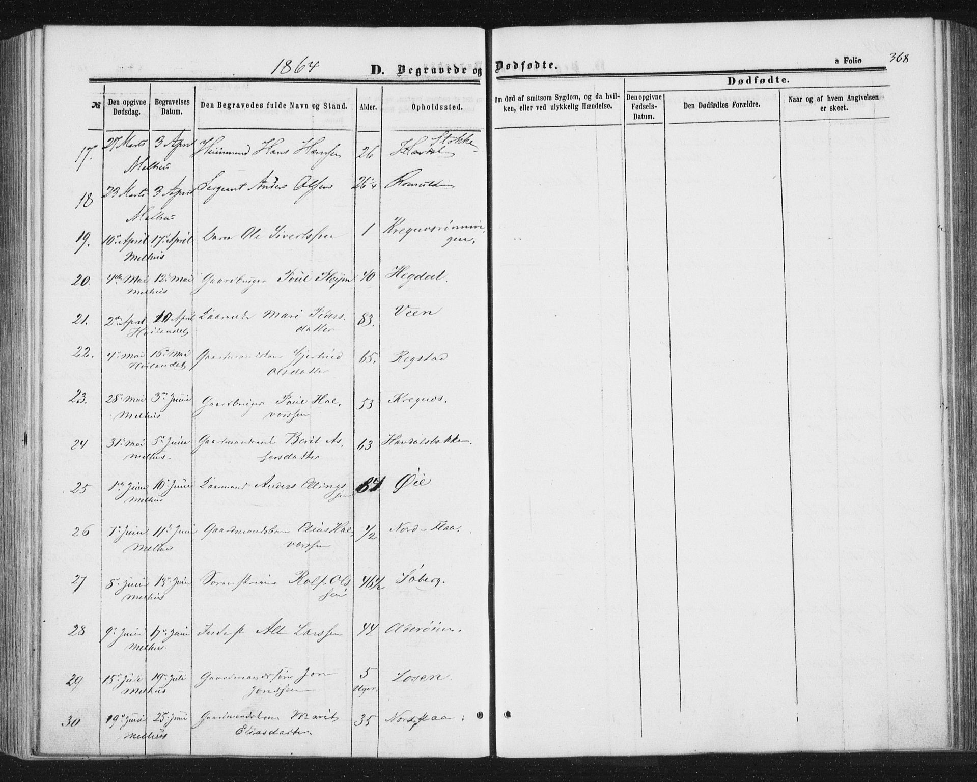 Ministerialprotokoller, klokkerbøker og fødselsregistre - Sør-Trøndelag, AV/SAT-A-1456/691/L1077: Parish register (official) no. 691A09, 1862-1873, p. 368