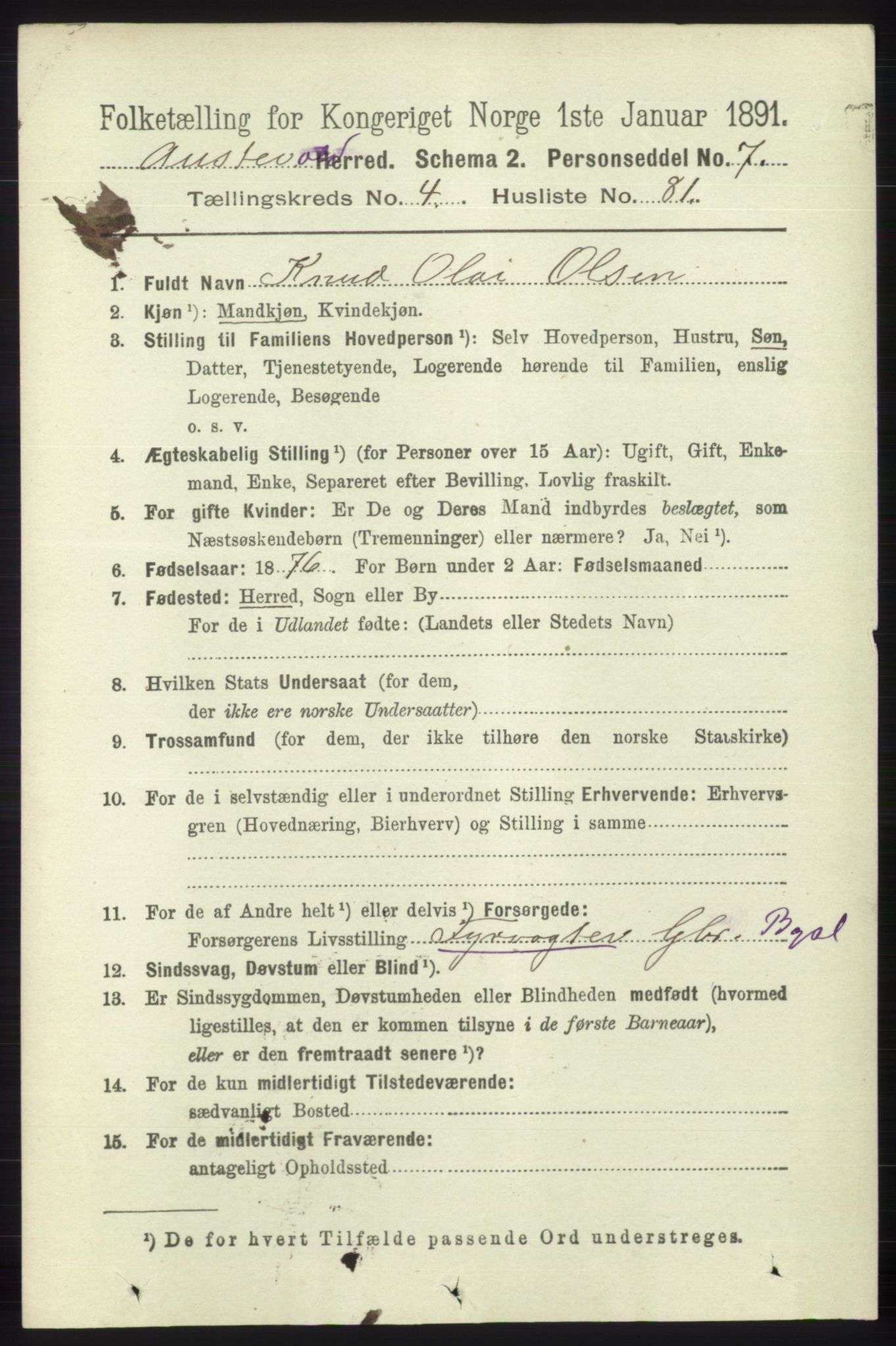 RA, 1891 census for 1244 Austevoll, 1891, p. 1902