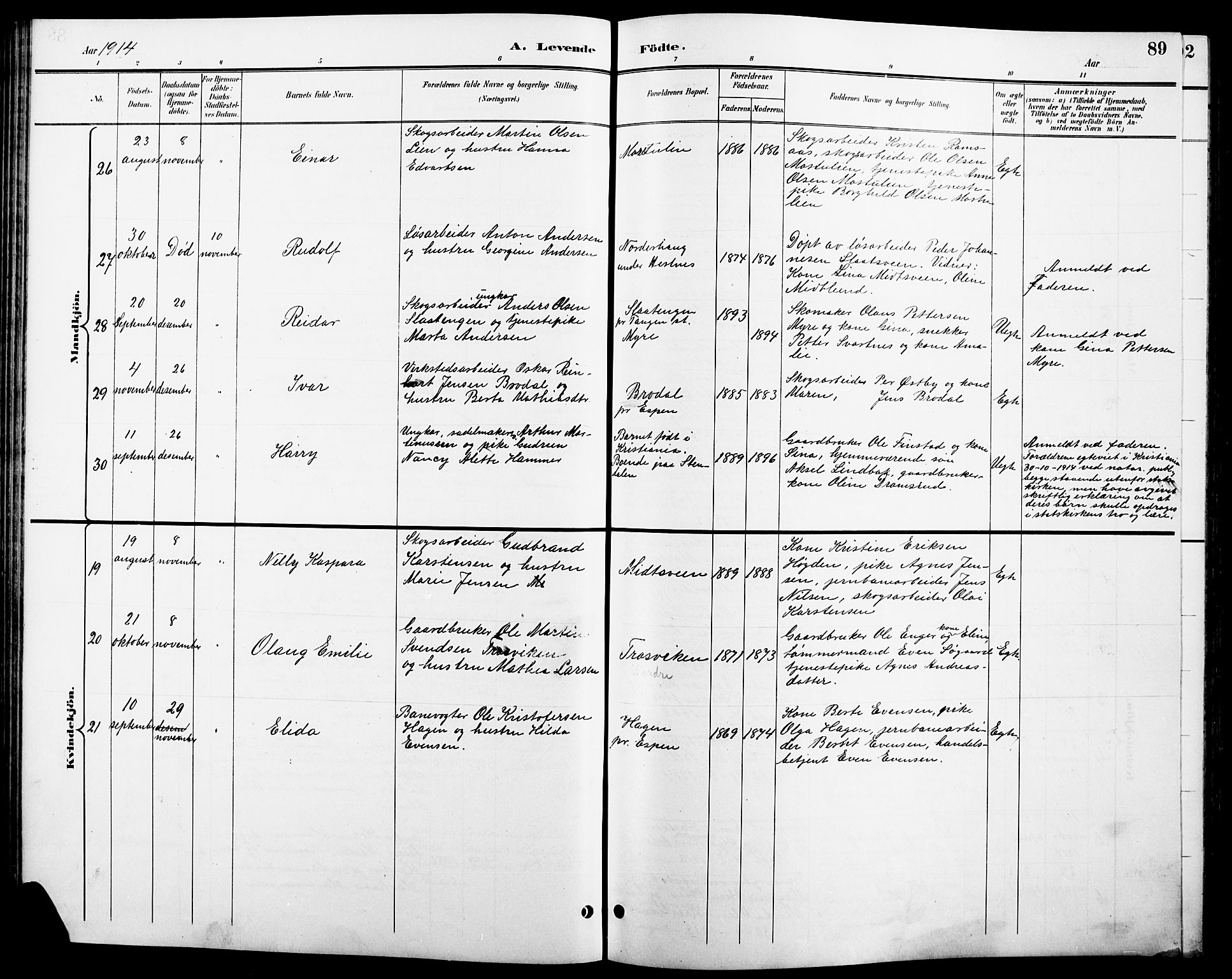 Stange prestekontor, AV/SAH-PREST-002/L/L0011: Parish register (copy) no. 11, 1895-1917, p. 89