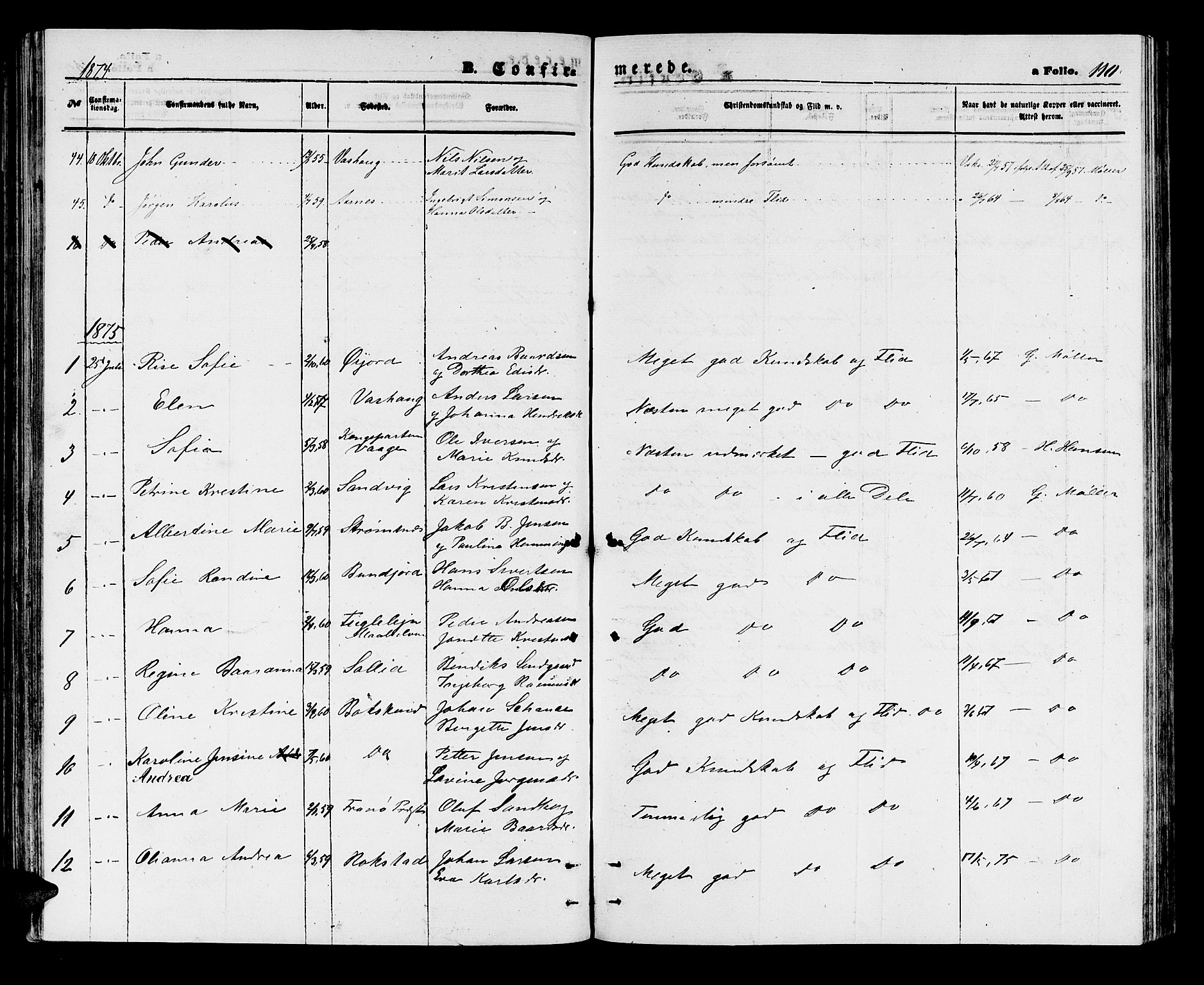 Lenvik sokneprestembete, SATØ/S-1310/H/Ha/Hab/L0005klokker: Parish register (copy) no. 5, 1870-1880, p. 110