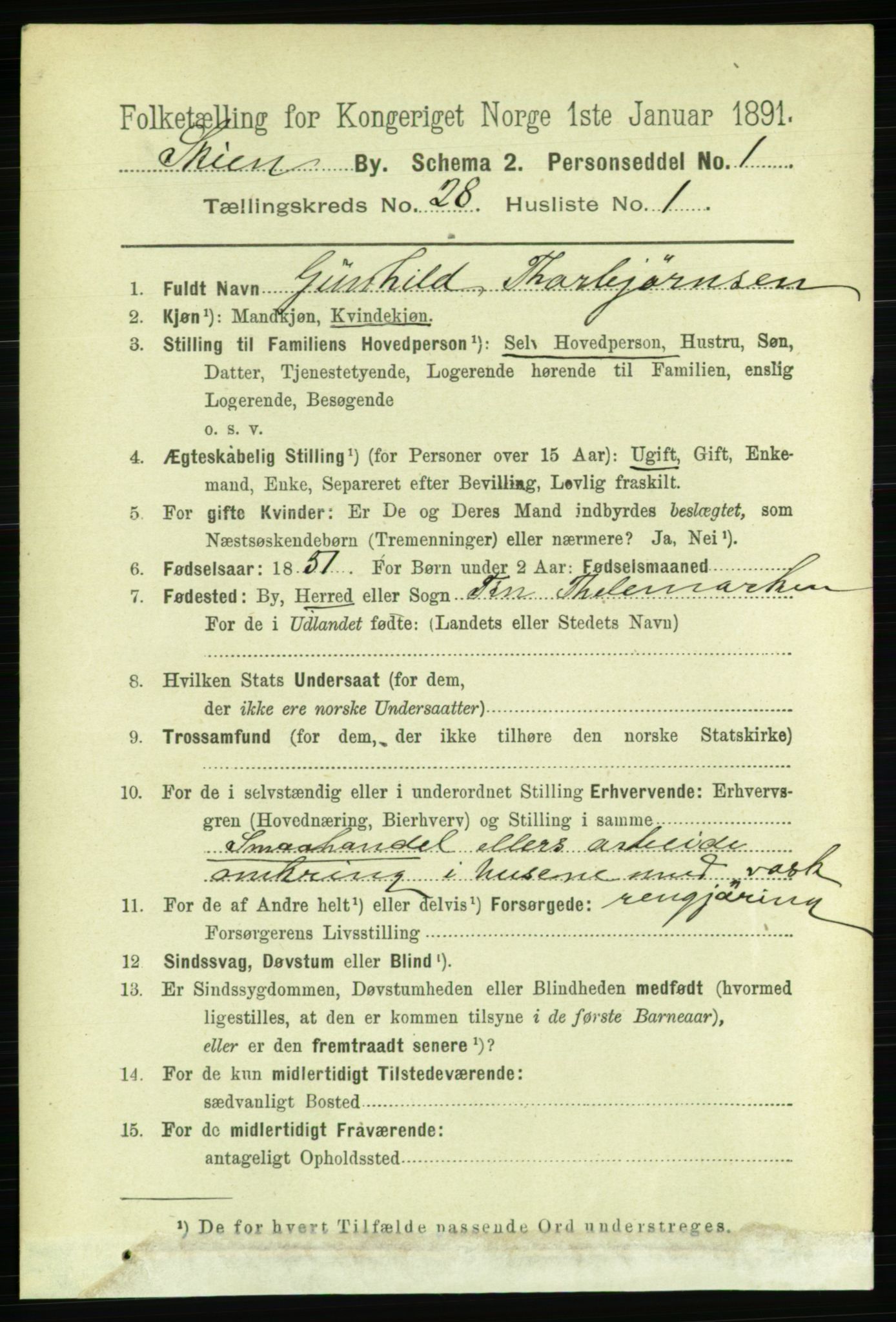 RA, 1891 census for 0806 Skien, 1891, p. 6496