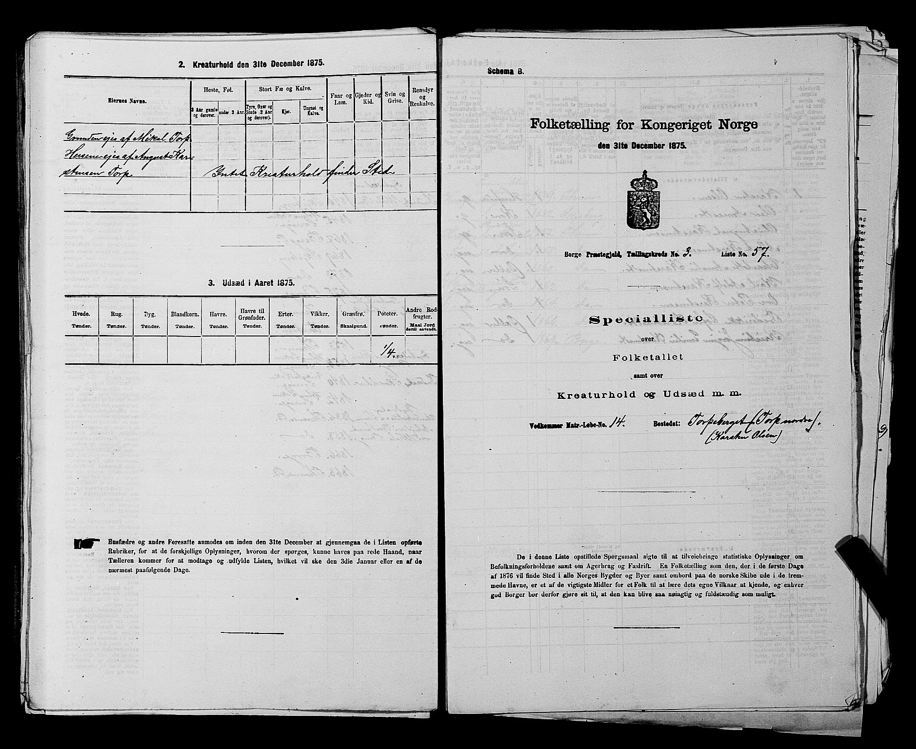 RA, 1875 census for 0113P Borge, 1875, p. 504