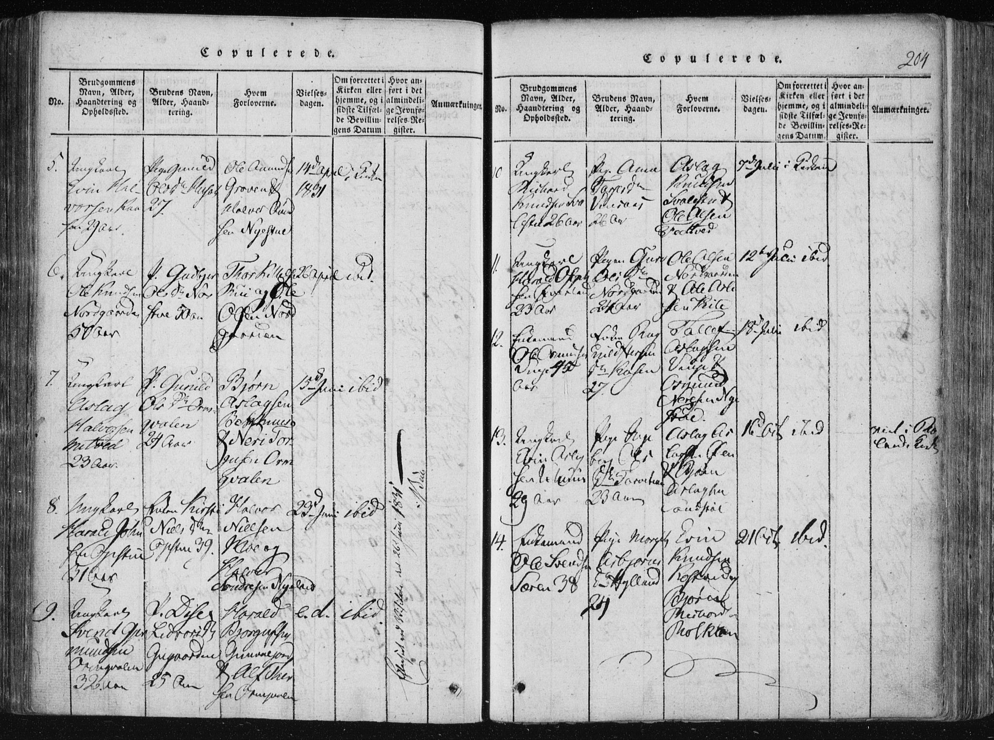 Vinje kirkebøker, SAKO/A-312/F/Fa/L0003: Parish register (official) no. I 3, 1814-1843, p. 204