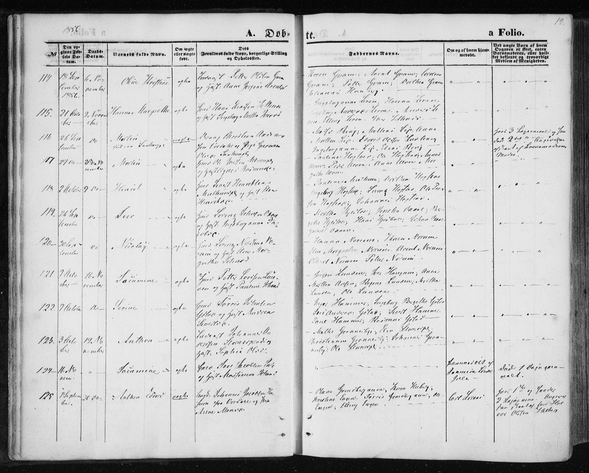 Ministerialprotokoller, klokkerbøker og fødselsregistre - Nord-Trøndelag, AV/SAT-A-1458/730/L0283: Parish register (official) no. 730A08, 1855-1865, p. 19