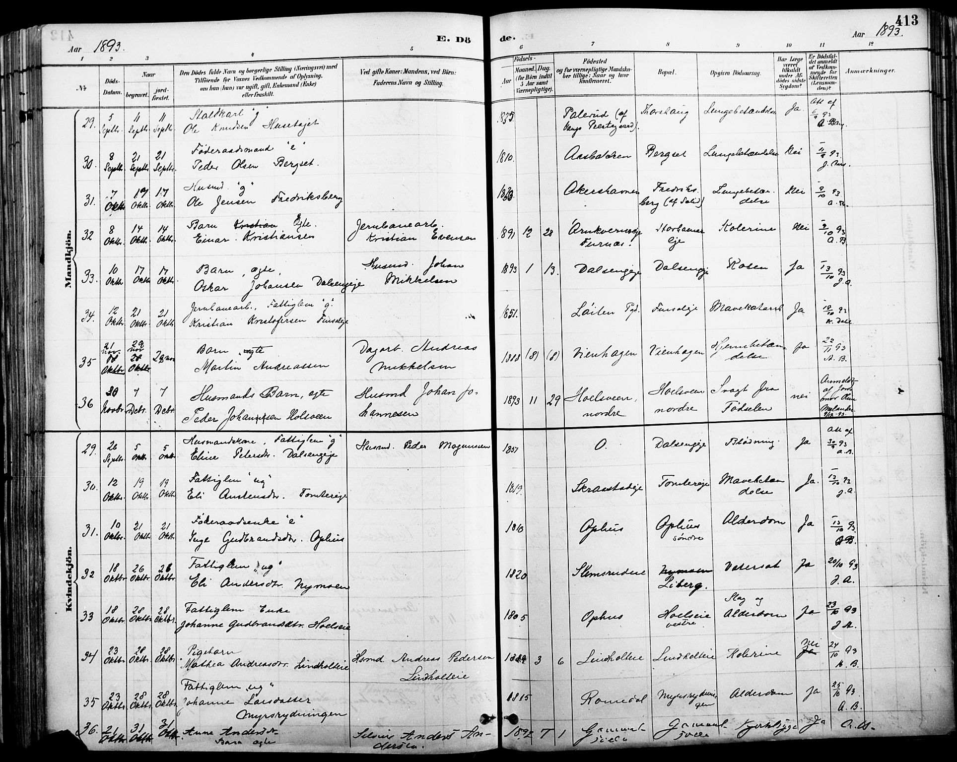 Vang prestekontor, Hedmark, AV/SAH-PREST-008/H/Ha/Haa/L0019A: Parish register (official) no. 19, 1886-1900, p. 413