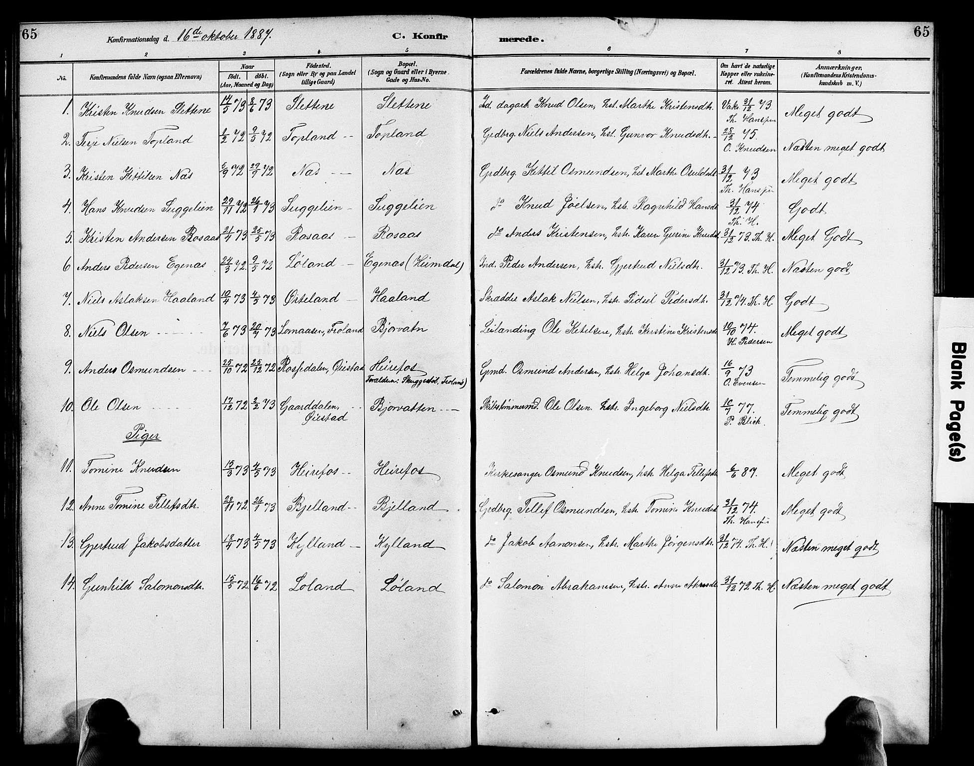 Herefoss sokneprestkontor, AV/SAK-1111-0019/F/Fb/Fba/L0003: Parish register (copy) no. B 3, 1887-1925, p. 65