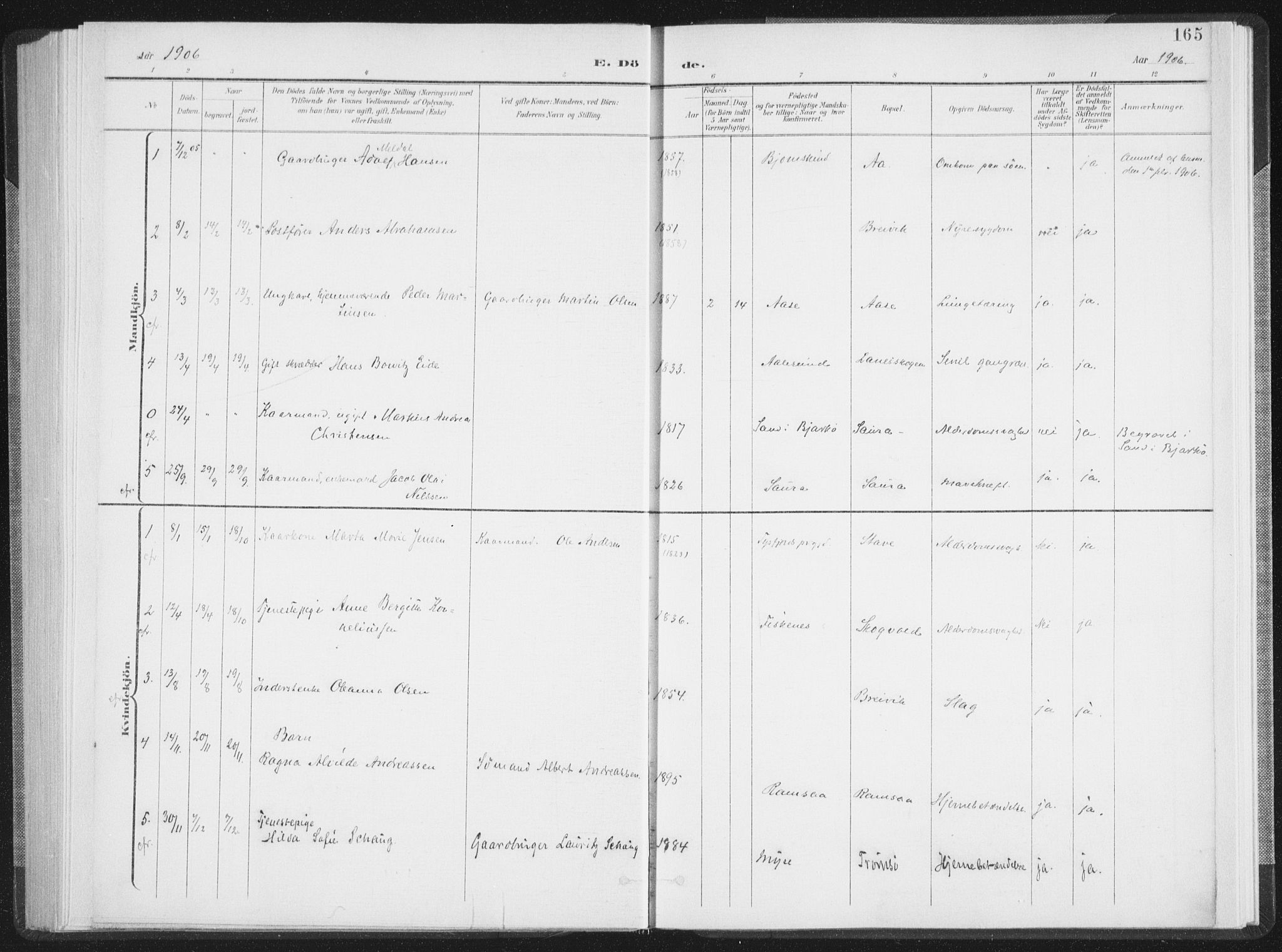 Ministerialprotokoller, klokkerbøker og fødselsregistre - Nordland, SAT/A-1459/897/L1400: Parish register (official) no. 897A07, 1897-1908, p. 165
