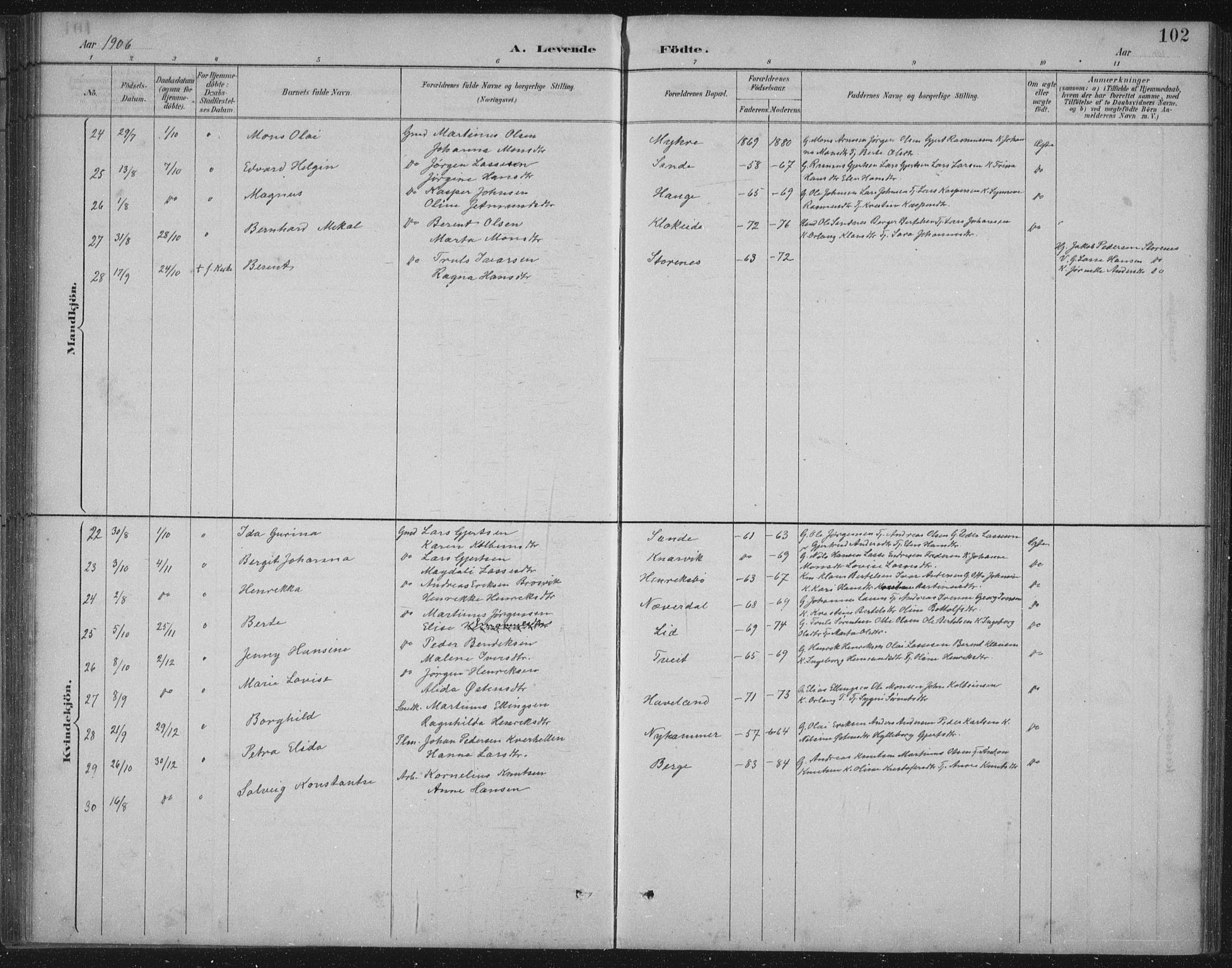 Gulen sokneprestembete, AV/SAB-A-80201/H/Hab/Habb/L0003: Parish register (copy) no. B 3, 1884-1907, p. 102