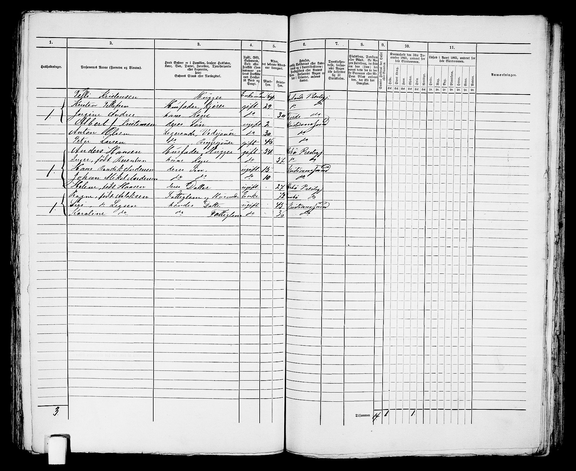 RA, 1865 census for Kristiansand, 1865, p. 1450