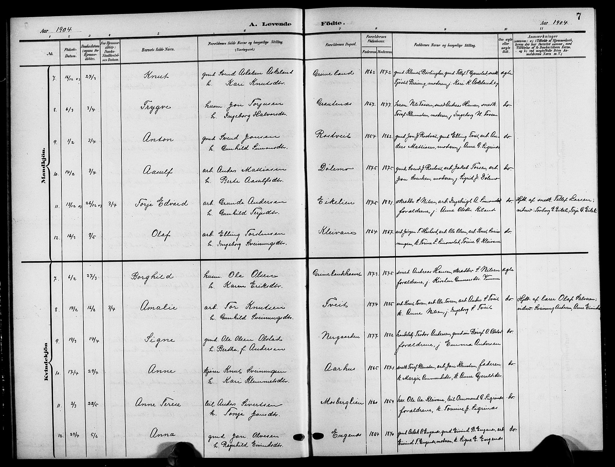 Åmli sokneprestkontor, SAK/1111-0050/F/Fb/Fbc/L0005: Parish register (copy) no. B 5, 1903-1916, p. 7