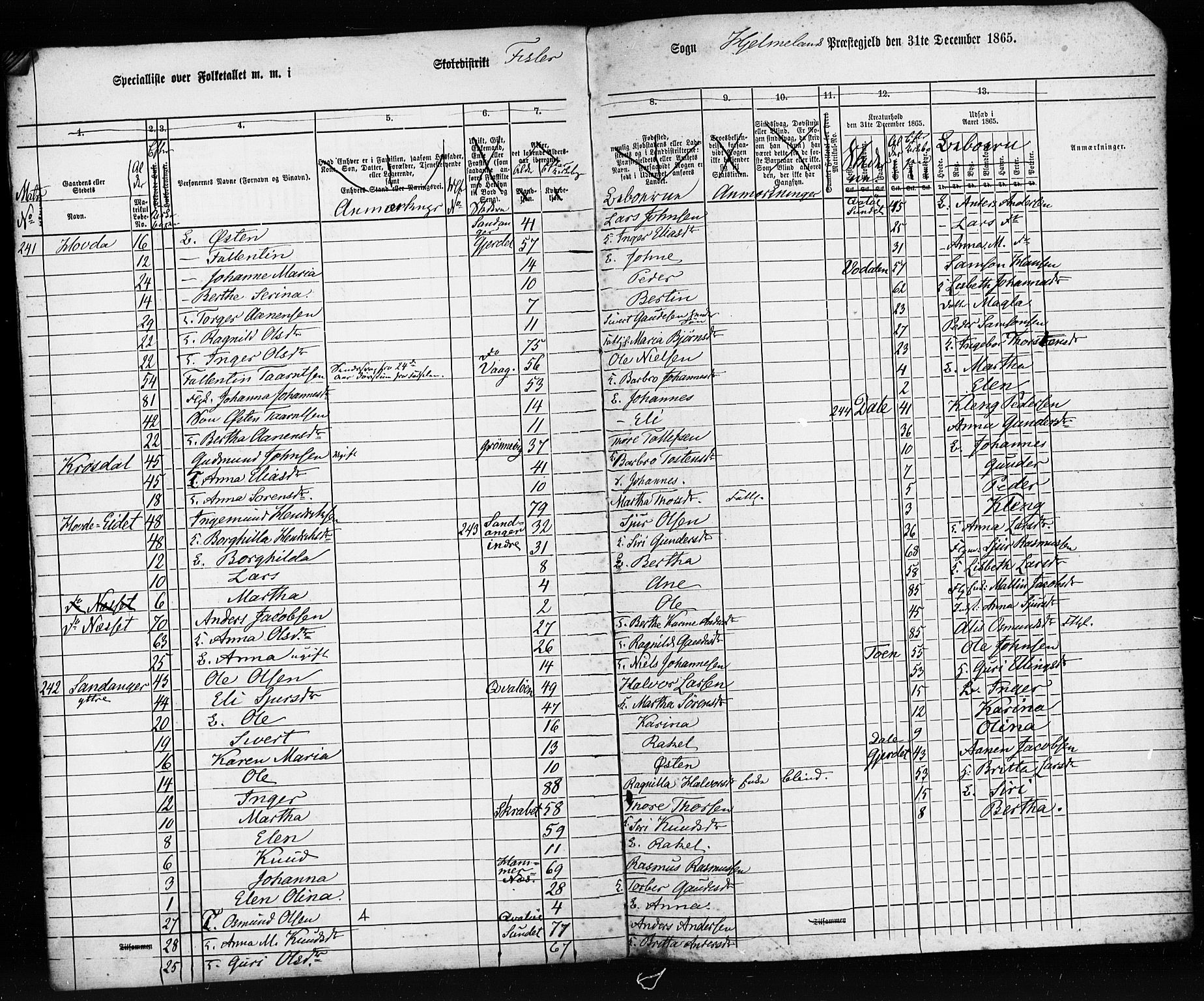 SAST, Census 1865 (copy) for Hjelmeland, 1865, p. 10