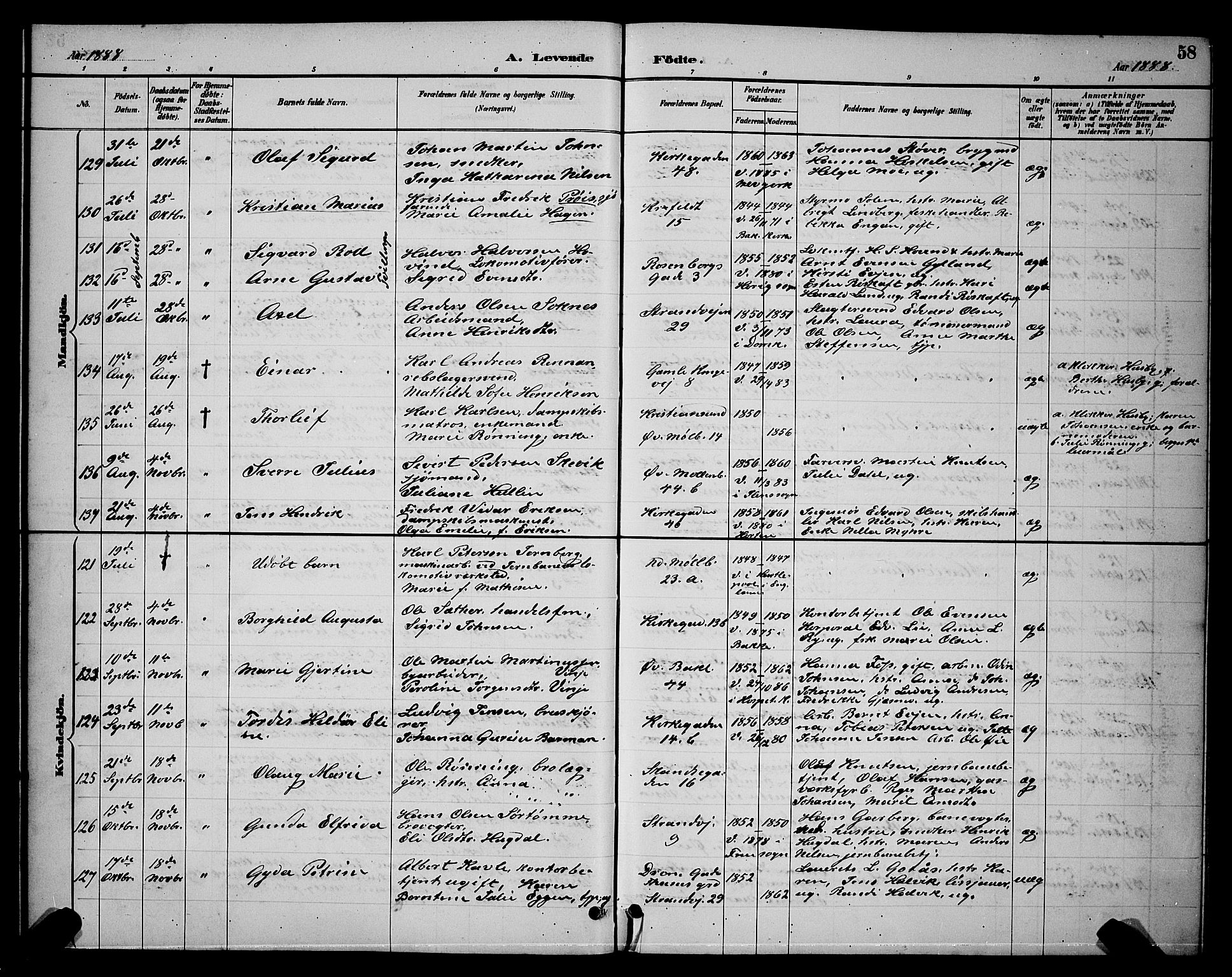 Ministerialprotokoller, klokkerbøker og fødselsregistre - Sør-Trøndelag, AV/SAT-A-1456/604/L0222: Parish register (copy) no. 604C05, 1886-1895, p. 58