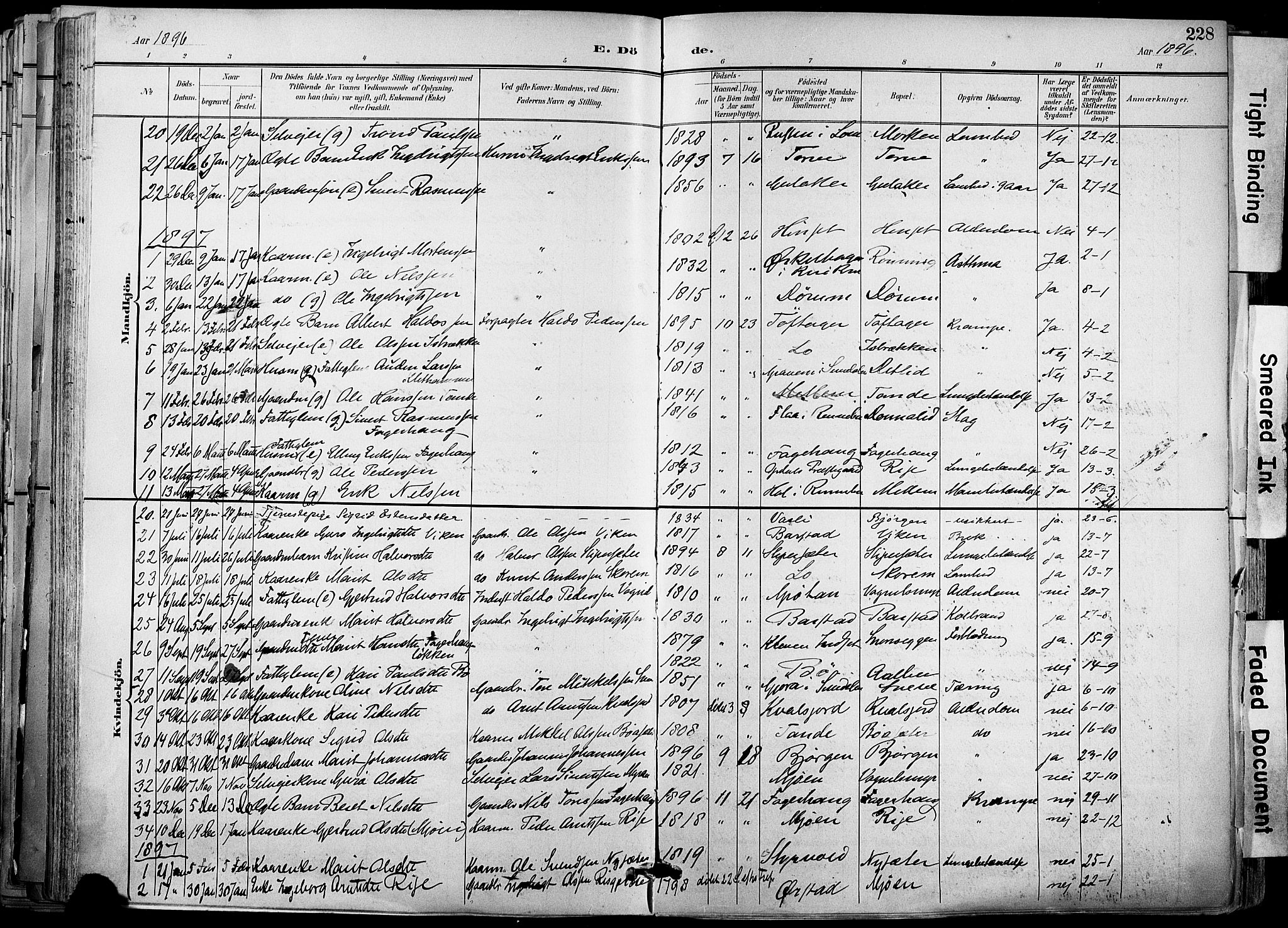 Ministerialprotokoller, klokkerbøker og fødselsregistre - Sør-Trøndelag, AV/SAT-A-1456/678/L0902: Parish register (official) no. 678A11, 1895-1911, p. 228