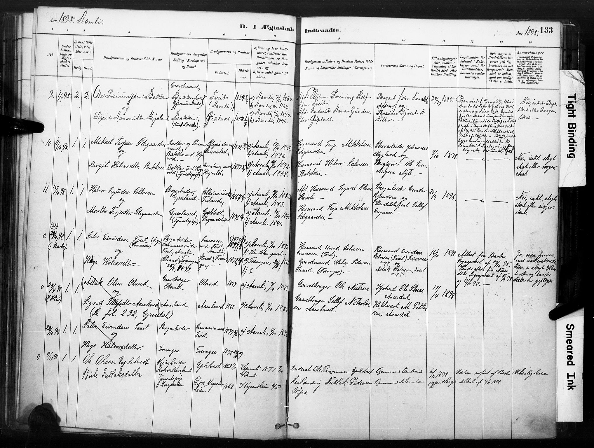 Åmli sokneprestkontor, SAK/1111-0050/F/Fa/Fac/L0010: Parish register (official) no. A 10 /1, 1885-1899, p. 133