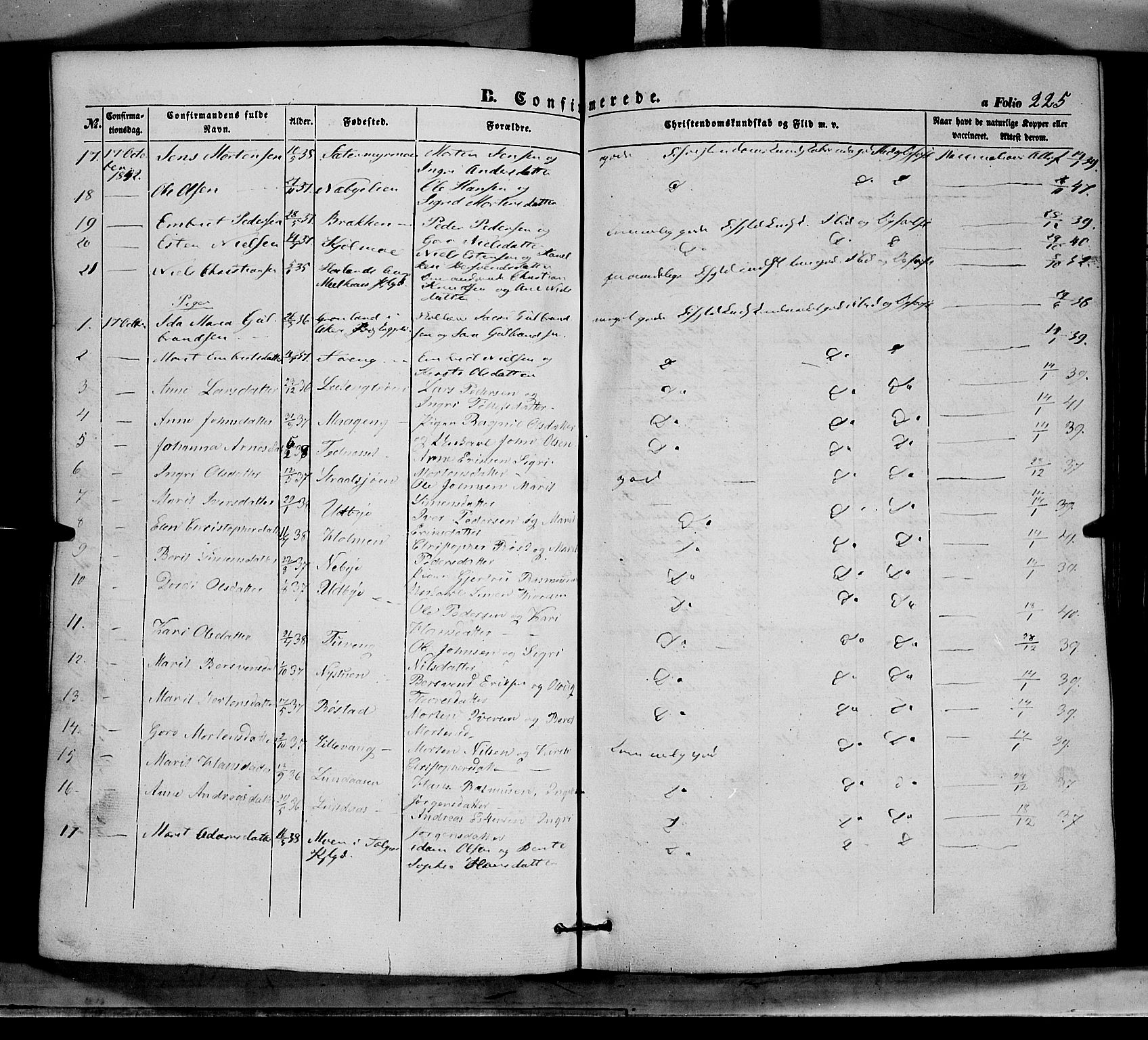 Tynset prestekontor, SAH/PREST-058/H/Ha/Haa/L0020: Parish register (official) no. 20, 1848-1862, p. 225