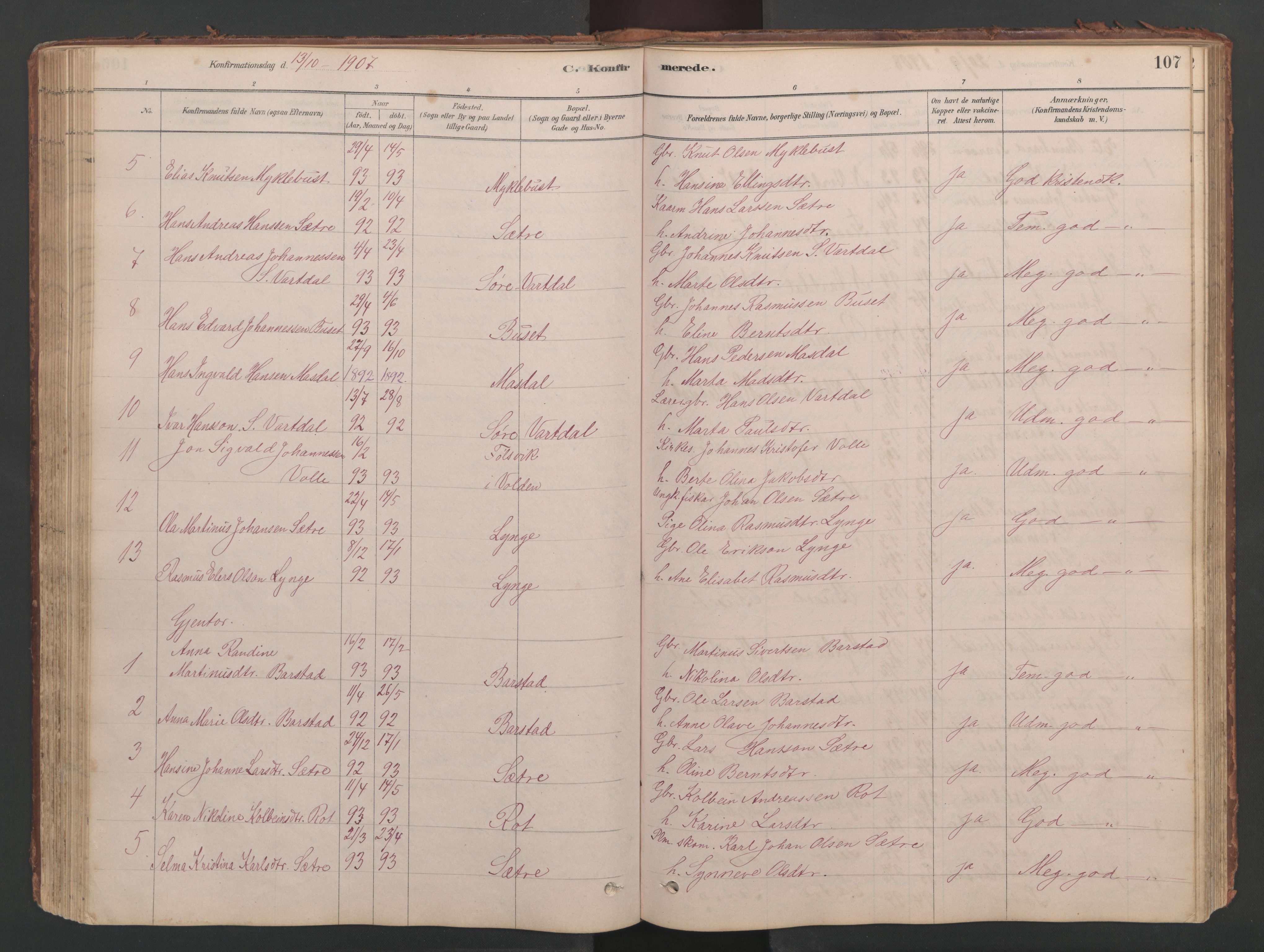 Ministerialprotokoller, klokkerbøker og fødselsregistre - Møre og Romsdal, AV/SAT-A-1454/514/L0201: Parish register (copy) no. 514C01, 1878-1919, p. 107