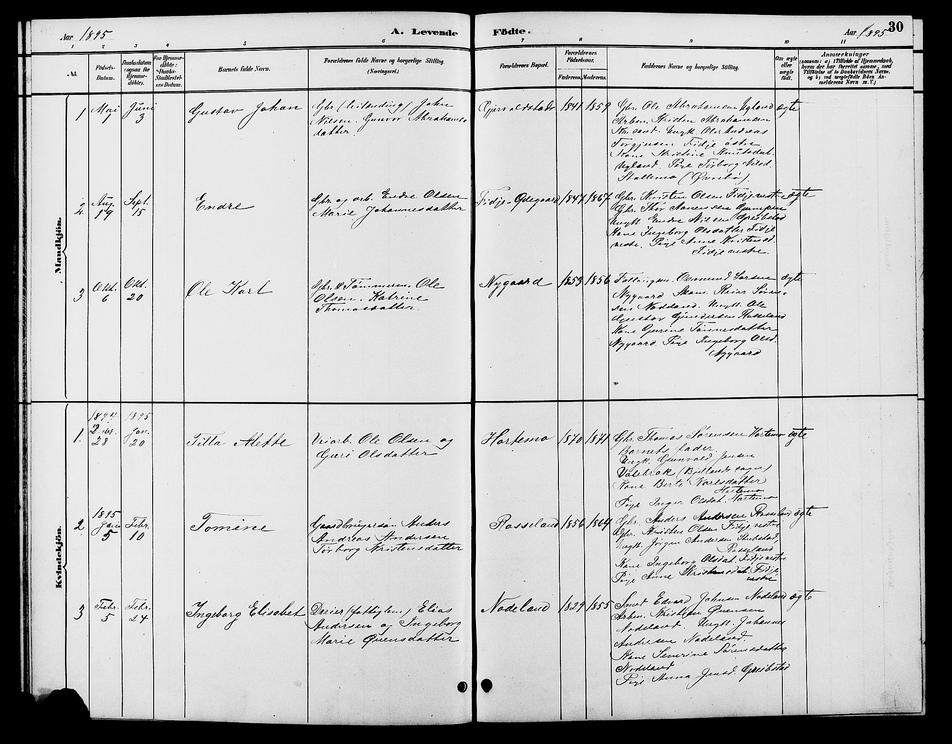 Søgne sokneprestkontor, SAK/1111-0037/F/Fb/Fba/L0004: Parish register (copy) no. B 4, 1888-1903, p. 30
