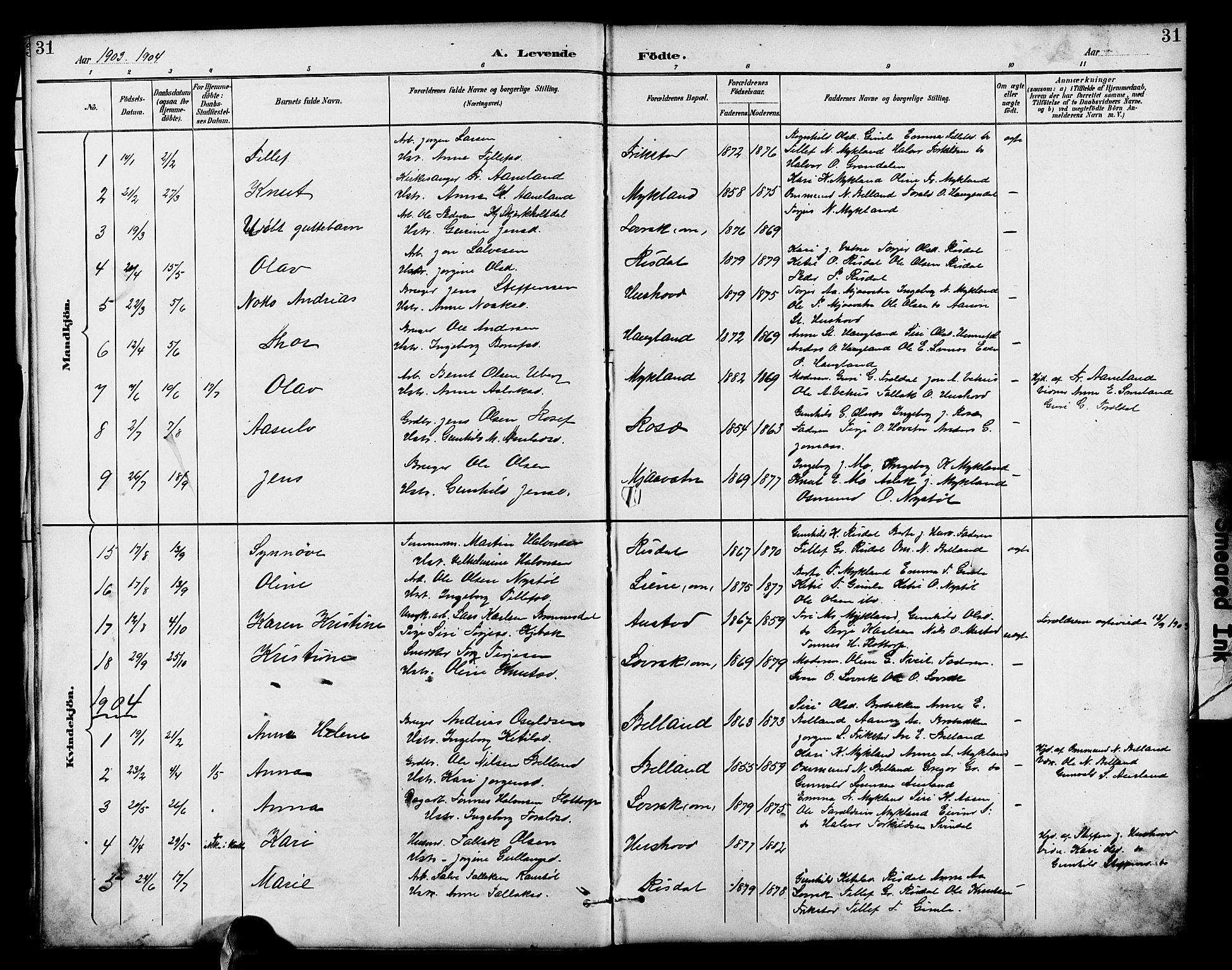 Herefoss sokneprestkontor, AV/SAK-1111-0019/F/Fb/Fbc/L0003: Parish register (copy) no. B 3, 1887-1915, p. 31