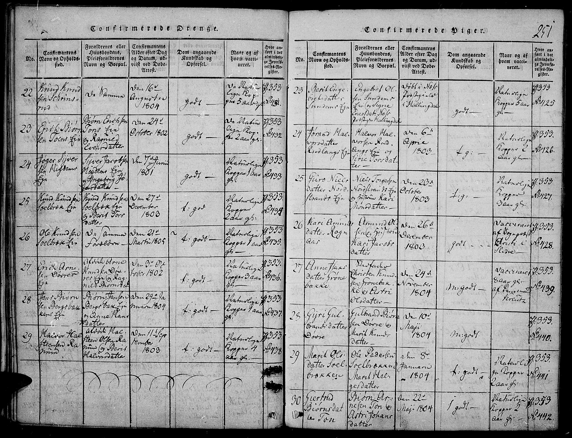 Nord-Aurdal prestekontor, SAH/PREST-132/H/Ha/Haa/L0002: Parish register (official) no. 2, 1816-1828, p. 251