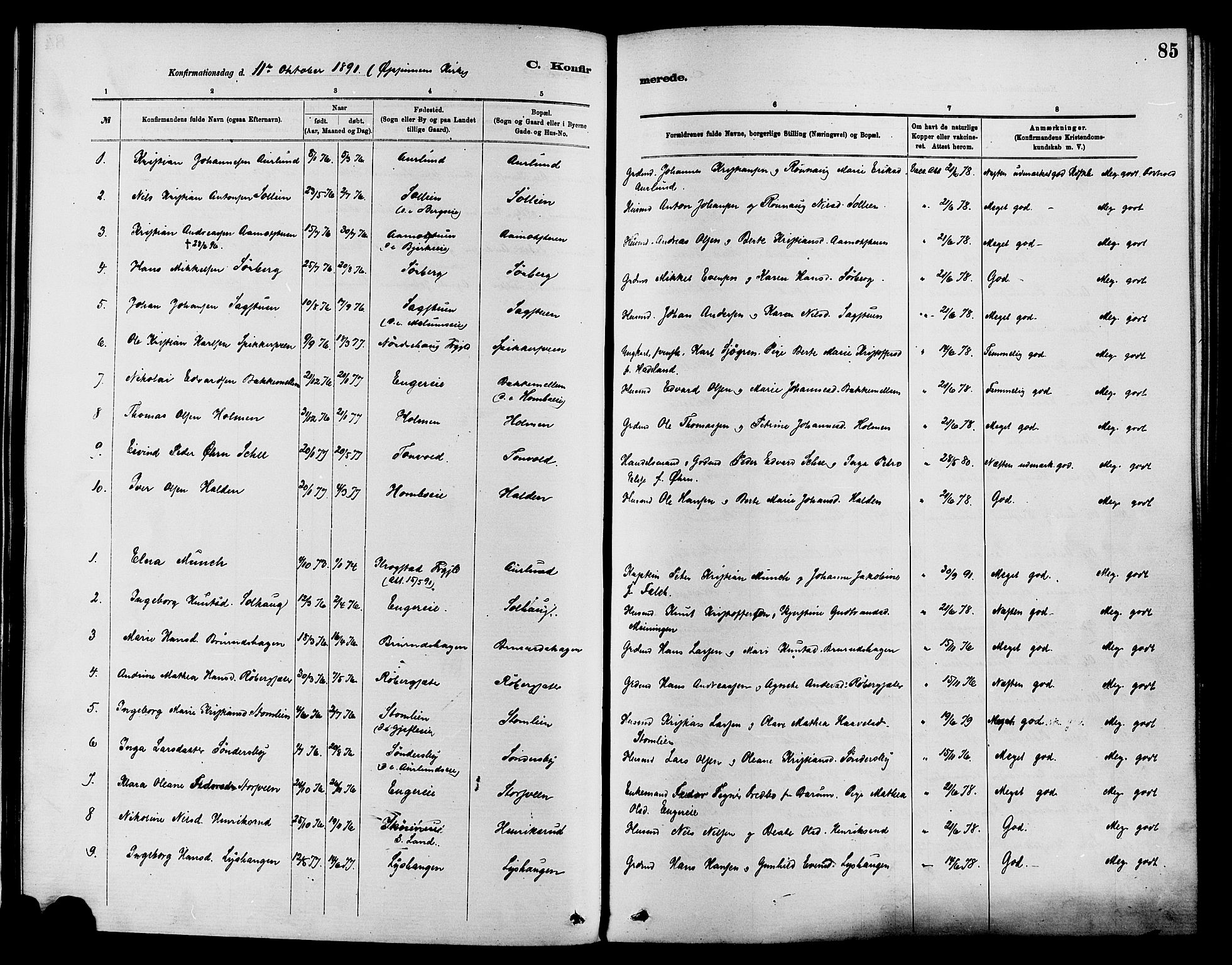 Nordre Land prestekontor, SAH/PREST-124/H/Ha/Haa/L0003: Parish register (official) no. 3, 1882-1896, p. 85