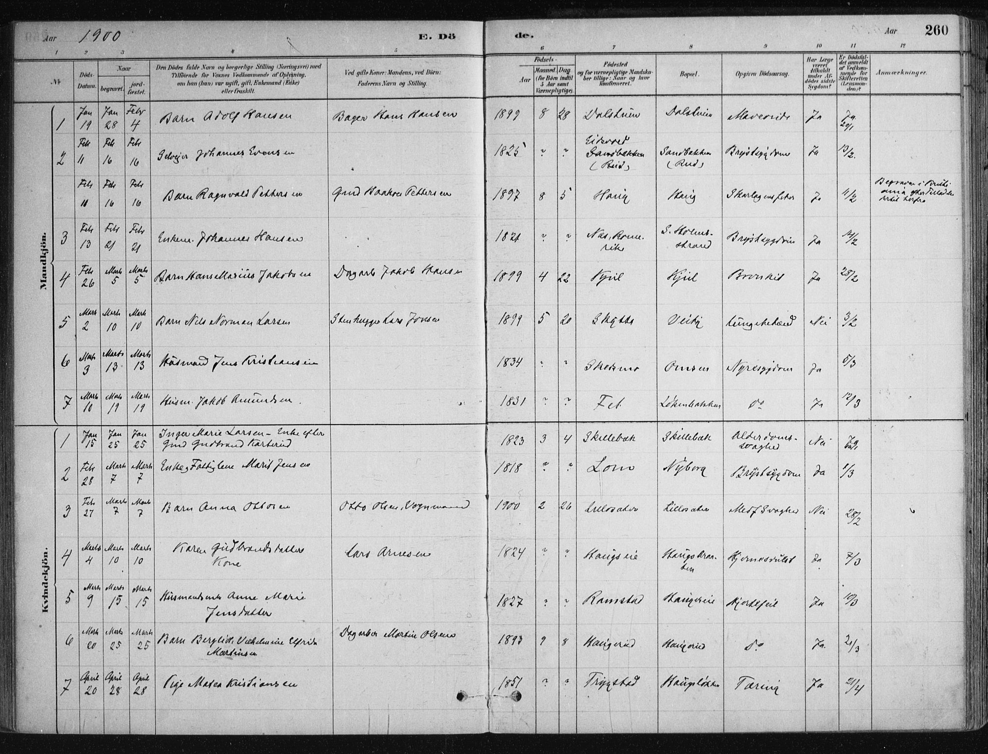 Nittedal prestekontor Kirkebøker, SAO/A-10365a/F/Fa/L0007: Parish register (official) no. I 7, 1879-1901, p. 260