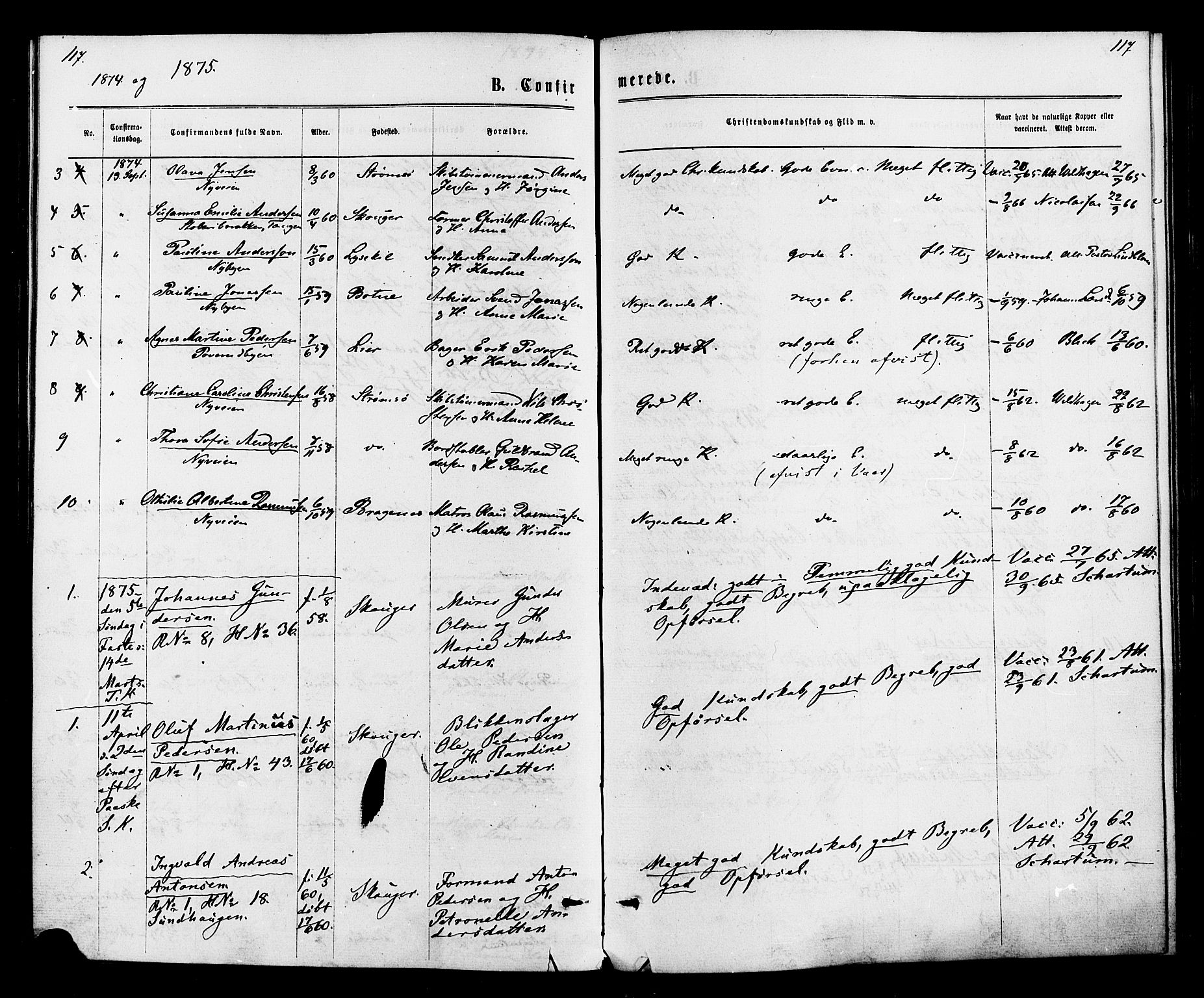 Strømsø kirkebøker, SAKO/A-246/F/Fa/L0020: Parish register (official) no. I 20, 1870-1878, p. 117