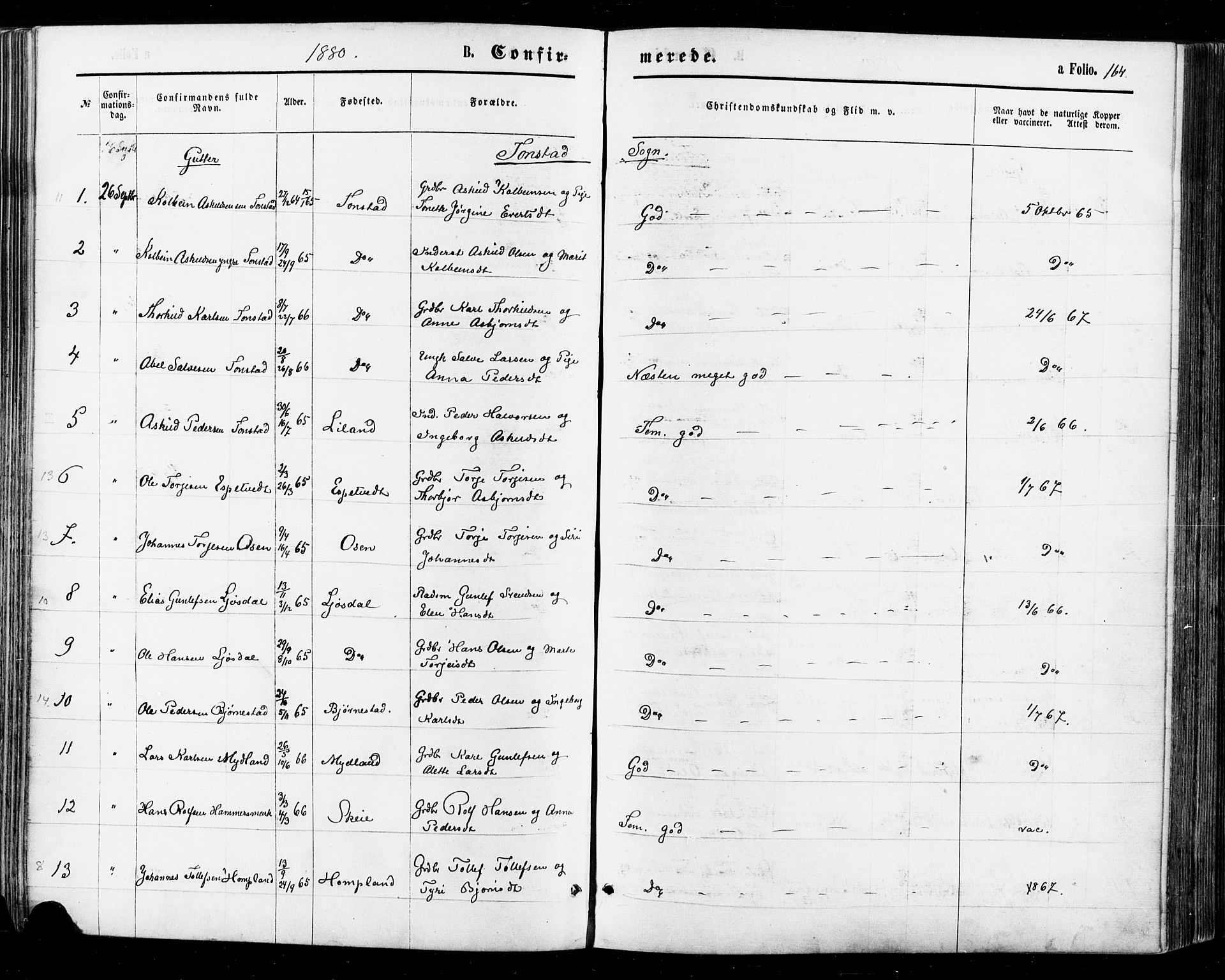 Sirdal sokneprestkontor, AV/SAK-1111-0036/F/Fa/Fab/L0003: Parish register (official) no. A 3, 1874-1886, p. 164