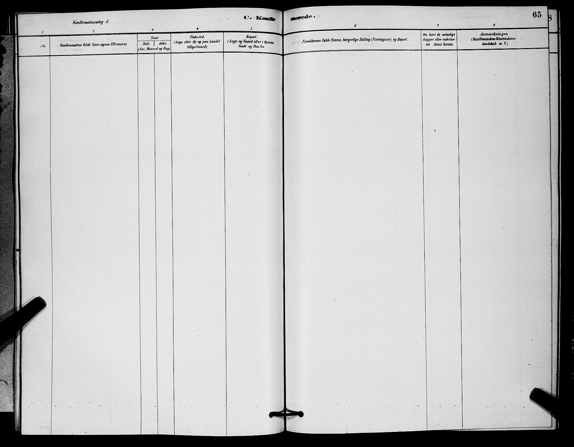 Nore kirkebøker, AV/SAKO-A-238/G/Ga/L0002: Parish register (copy) no. I 2, 1878-1885, p. 65