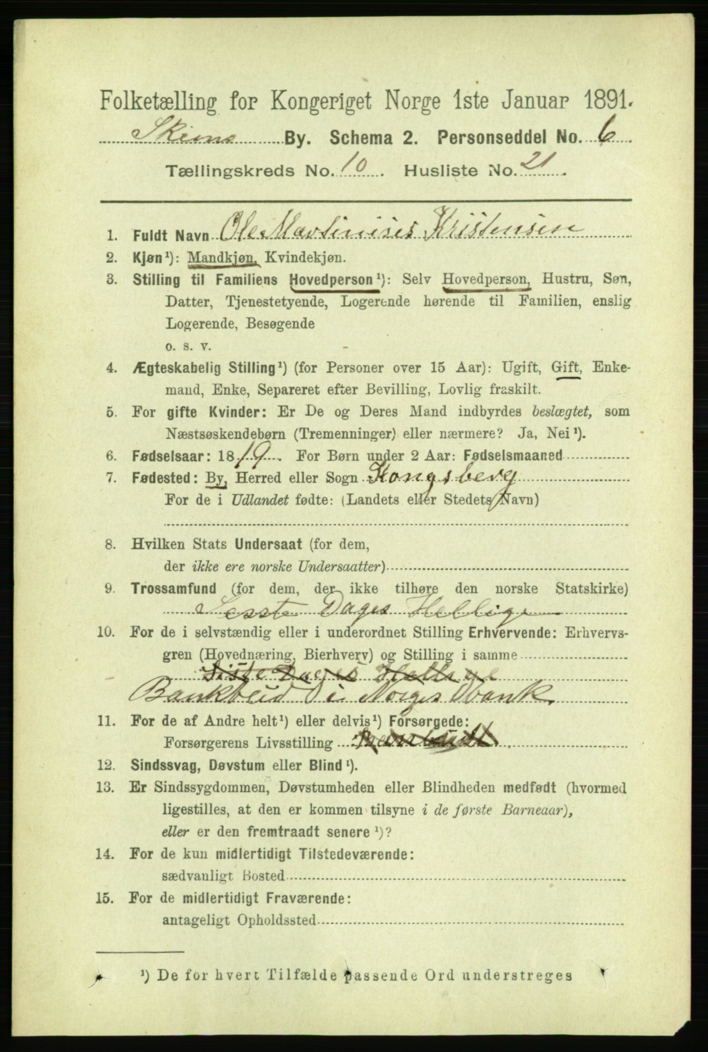 RA, 1891 census for 0806 Skien, 1891, p. 3804