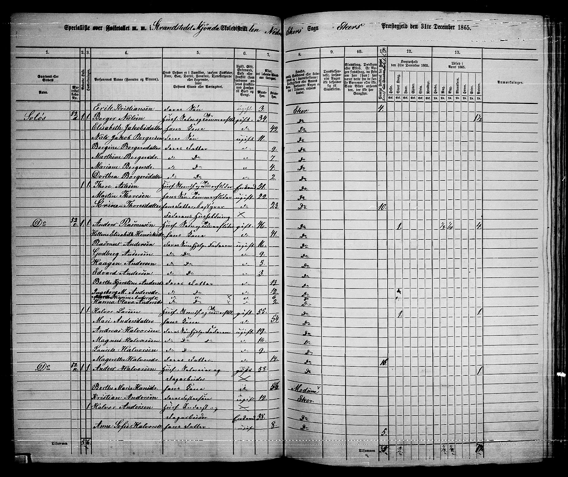 RA, 1865 census for Eiker, 1865, p. 401