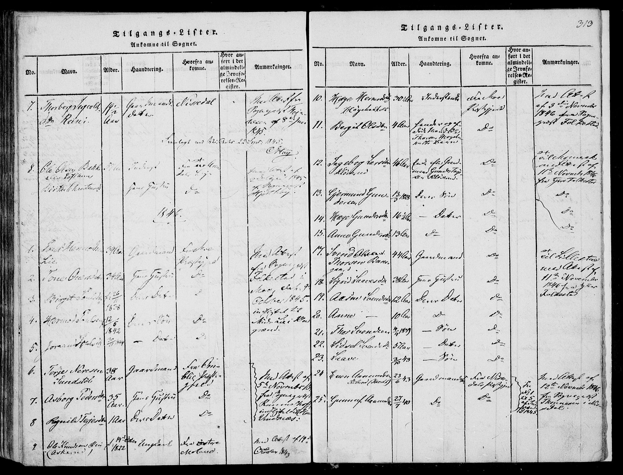 Fyresdal kirkebøker, SAKO/A-263/F/Fa/L0004: Parish register (official) no. I 4, 1815-1854, p. 313