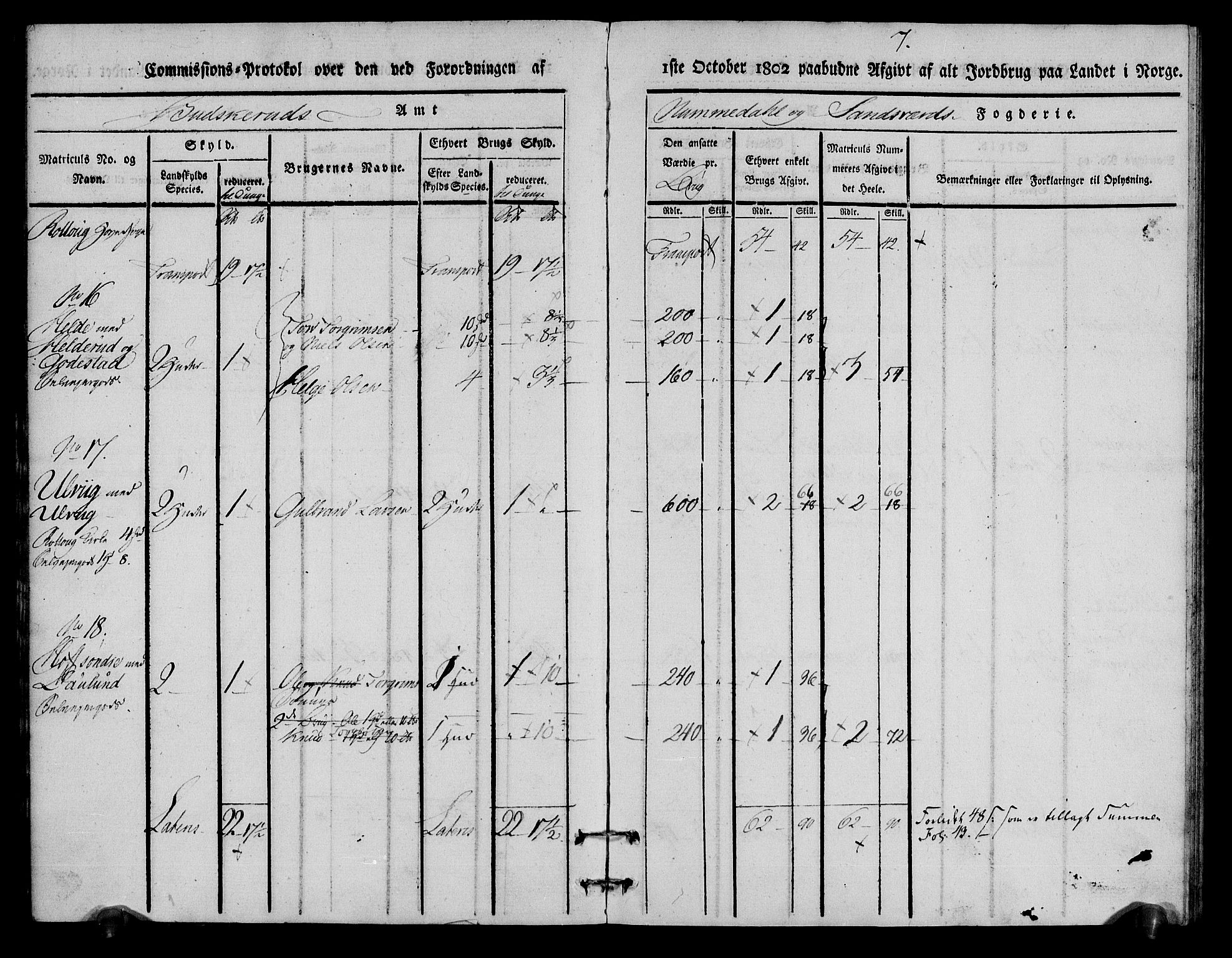 Rentekammeret inntil 1814, Realistisk ordnet avdeling, AV/RA-EA-4070/N/Ne/Nea/L0056a: Numedal og Sandsvær fogderi. Kommisjonsprotokoll for Rollag hovedsogn og Veggli anneks, 1803, p. 7