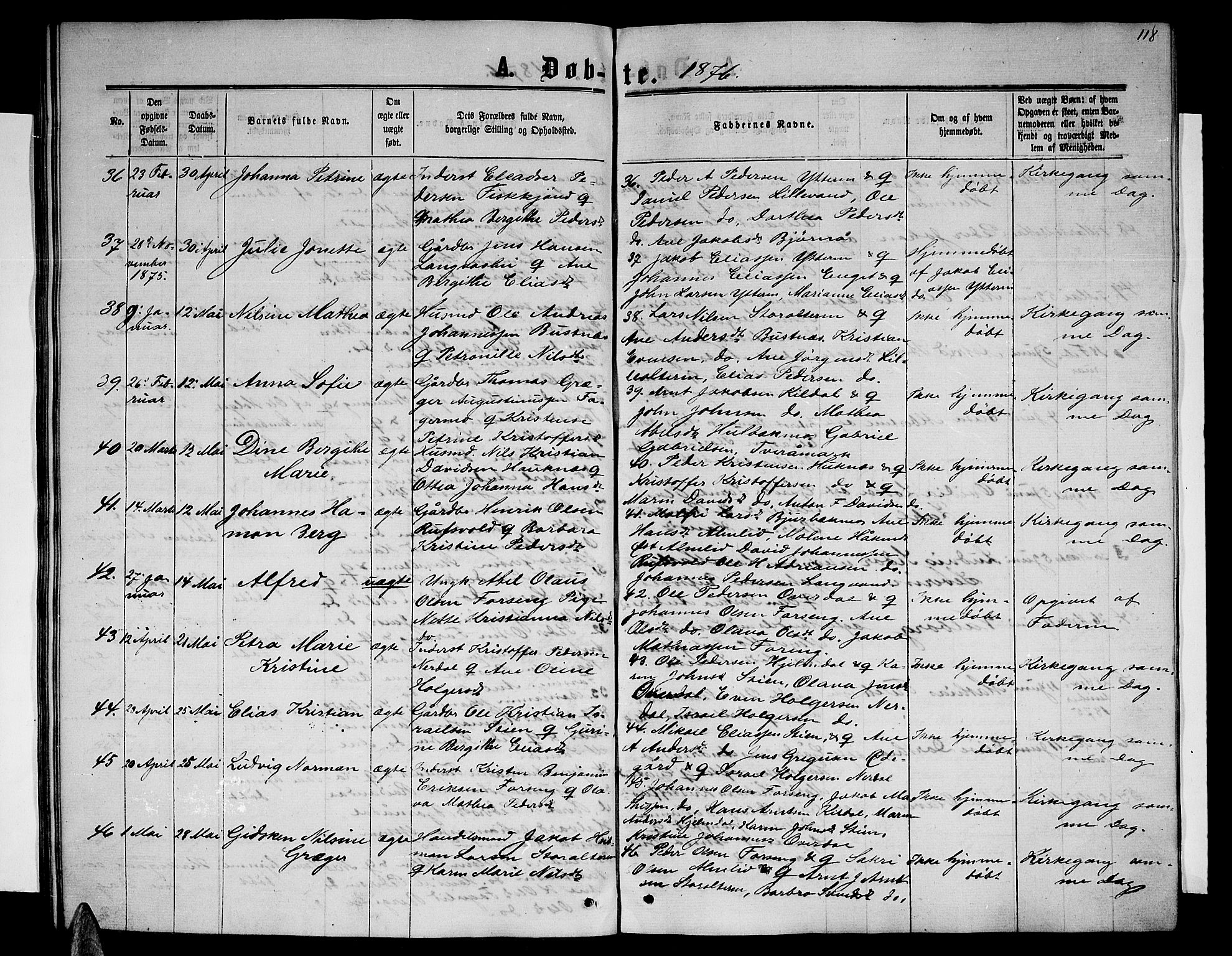 Ministerialprotokoller, klokkerbøker og fødselsregistre - Nordland, AV/SAT-A-1459/827/L0415: Parish register (copy) no. 827C04, 1864-1886, p. 118