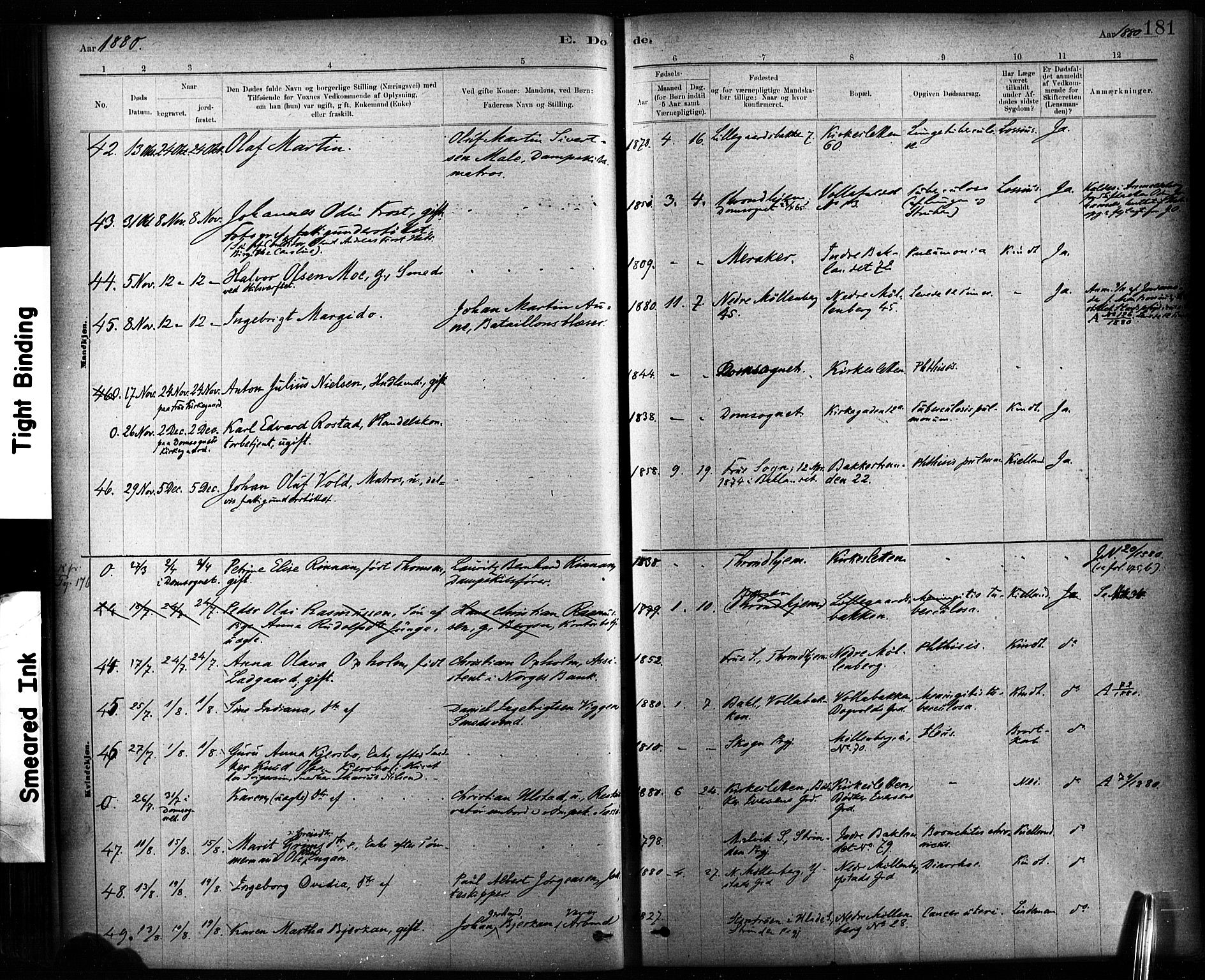 Ministerialprotokoller, klokkerbøker og fødselsregistre - Sør-Trøndelag, AV/SAT-A-1456/604/L0189: Parish register (official) no. 604A10, 1878-1892, p. 181