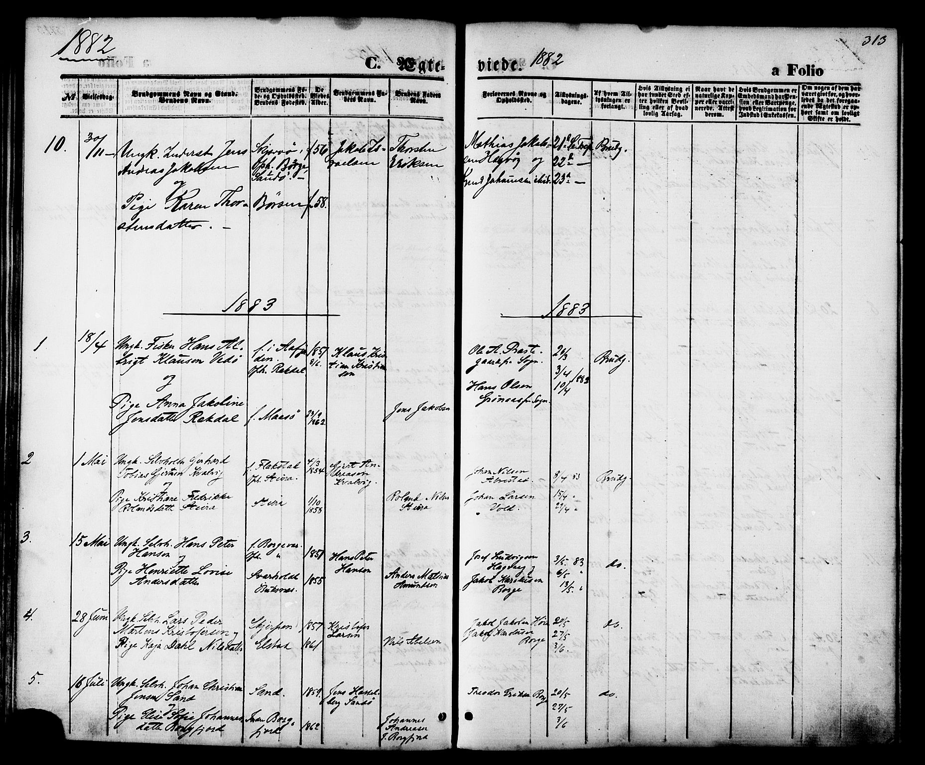 Ministerialprotokoller, klokkerbøker og fødselsregistre - Nordland, AV/SAT-A-1459/880/L1132: Parish register (official) no. 880A06, 1869-1887, p. 313