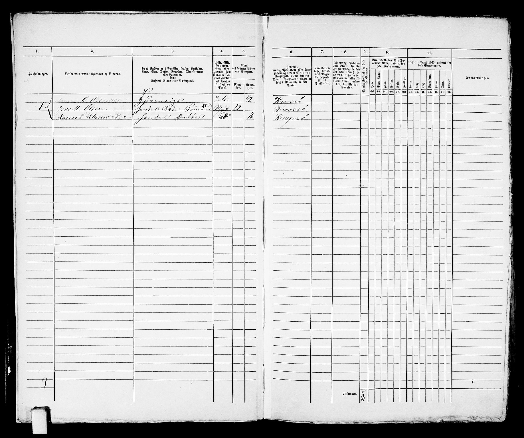 RA, 1865 census for Kragerø/Kragerø, 1865, p. 621