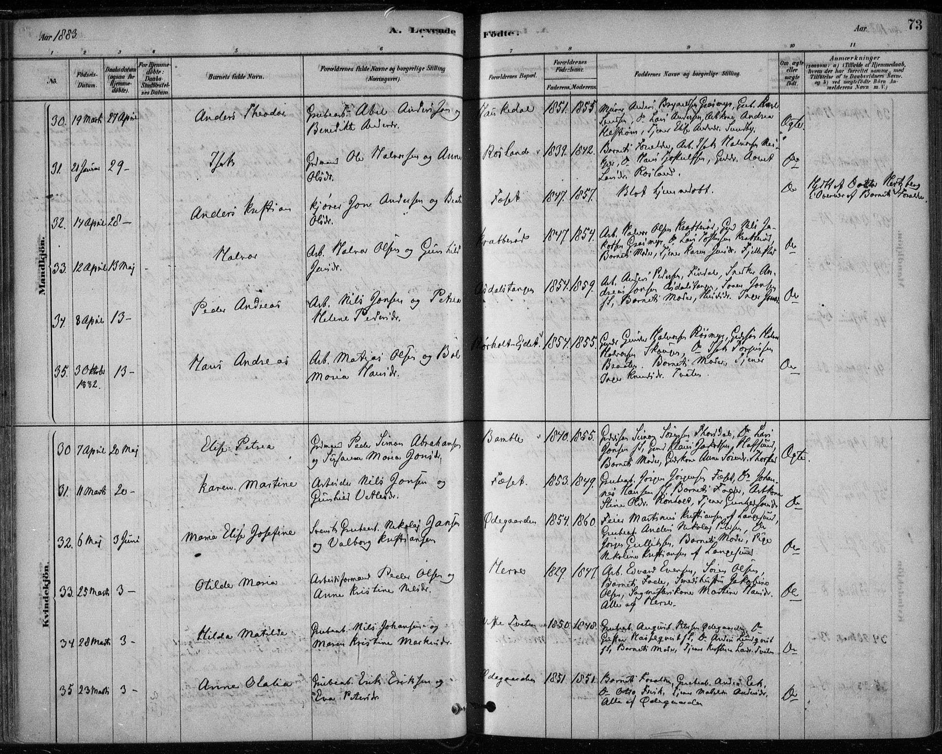 Bamble kirkebøker, AV/SAKO-A-253/F/Fa/L0007: Parish register (official) no. I 7, 1878-1888, p. 73