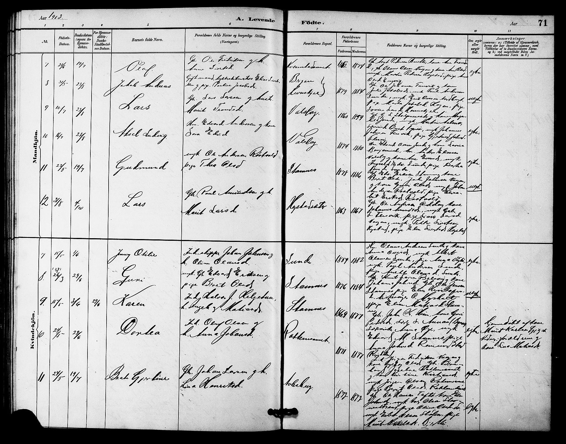 Ministerialprotokoller, klokkerbøker og fødselsregistre - Sør-Trøndelag, AV/SAT-A-1456/633/L0519: Parish register (copy) no. 633C01, 1884-1905, p. 71