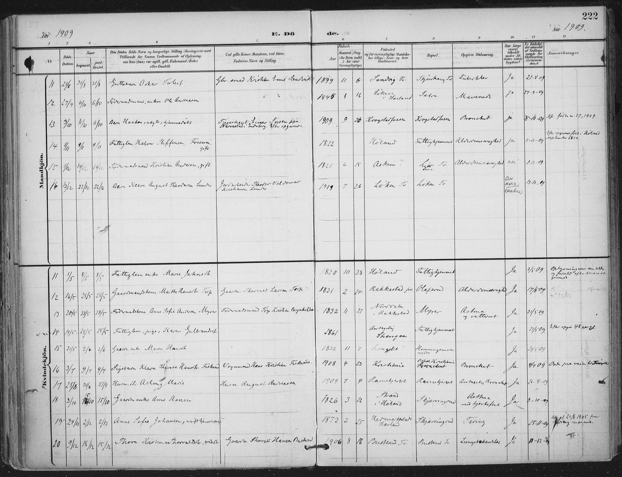 Trøgstad prestekontor Kirkebøker, AV/SAO-A-10925/F/Fa/L0011: Parish register (official) no. I 11, 1899-1919, p. 222