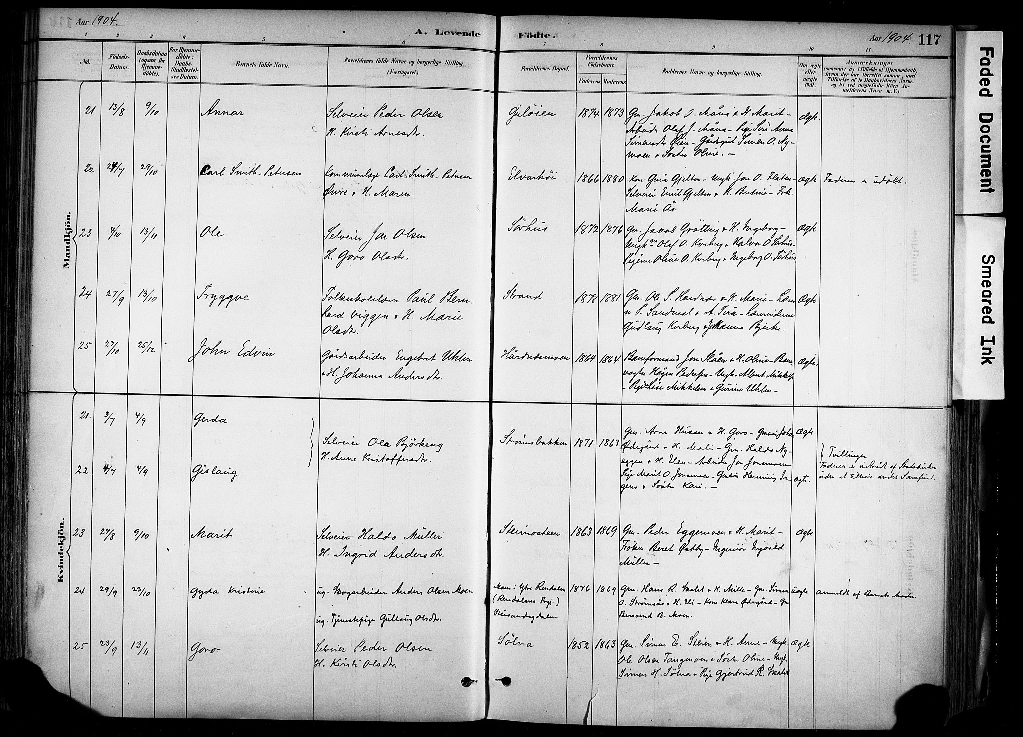 Alvdal prestekontor, AV/SAH-PREST-060/H/Ha/Haa/L0002: Parish register (official) no. 2, 1883-1906, p. 117