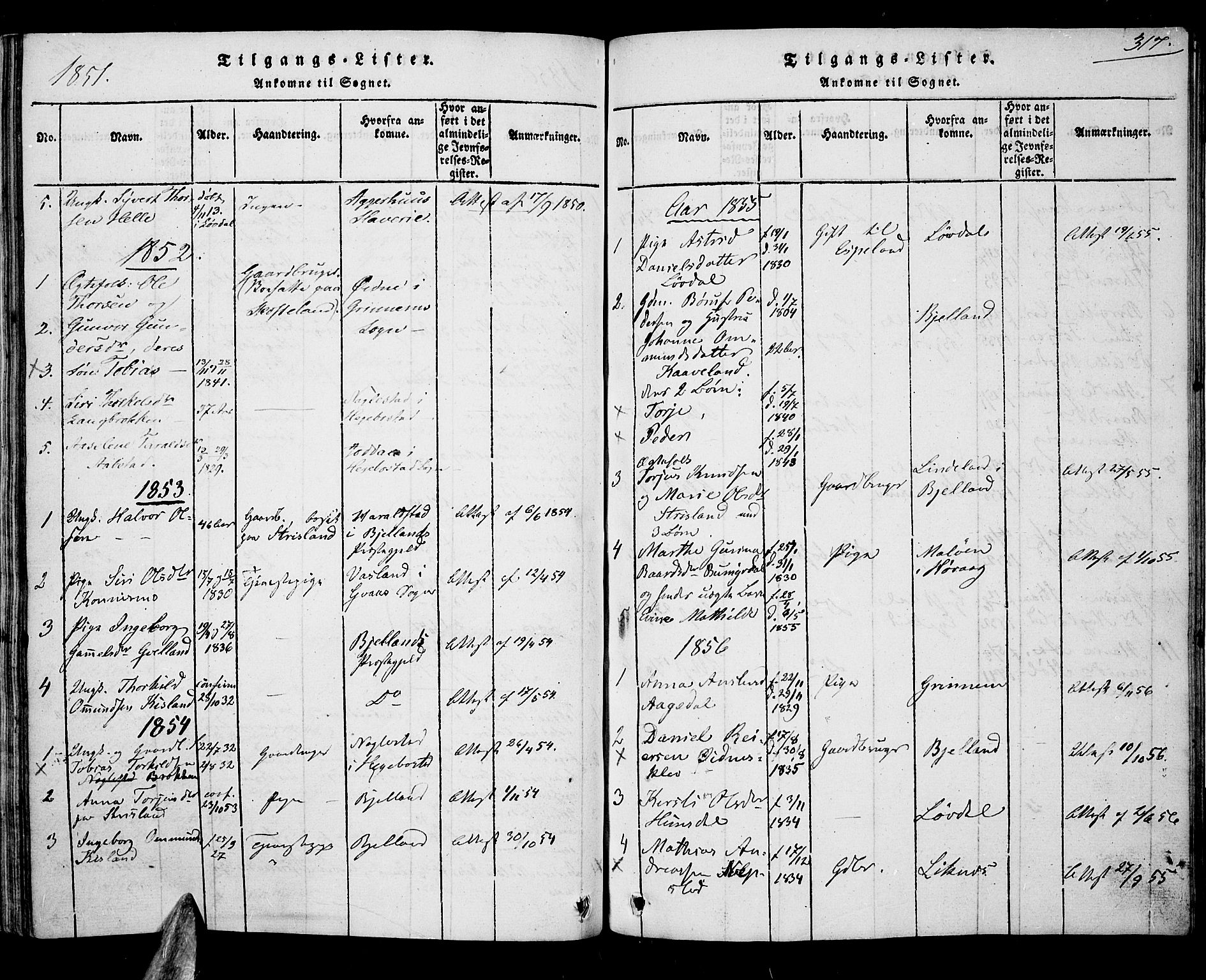 Nord-Audnedal sokneprestkontor, AV/SAK-1111-0032/F/Fa/Faa/L0001: Parish register (official) no. A 1, 1815-1856, p. 317