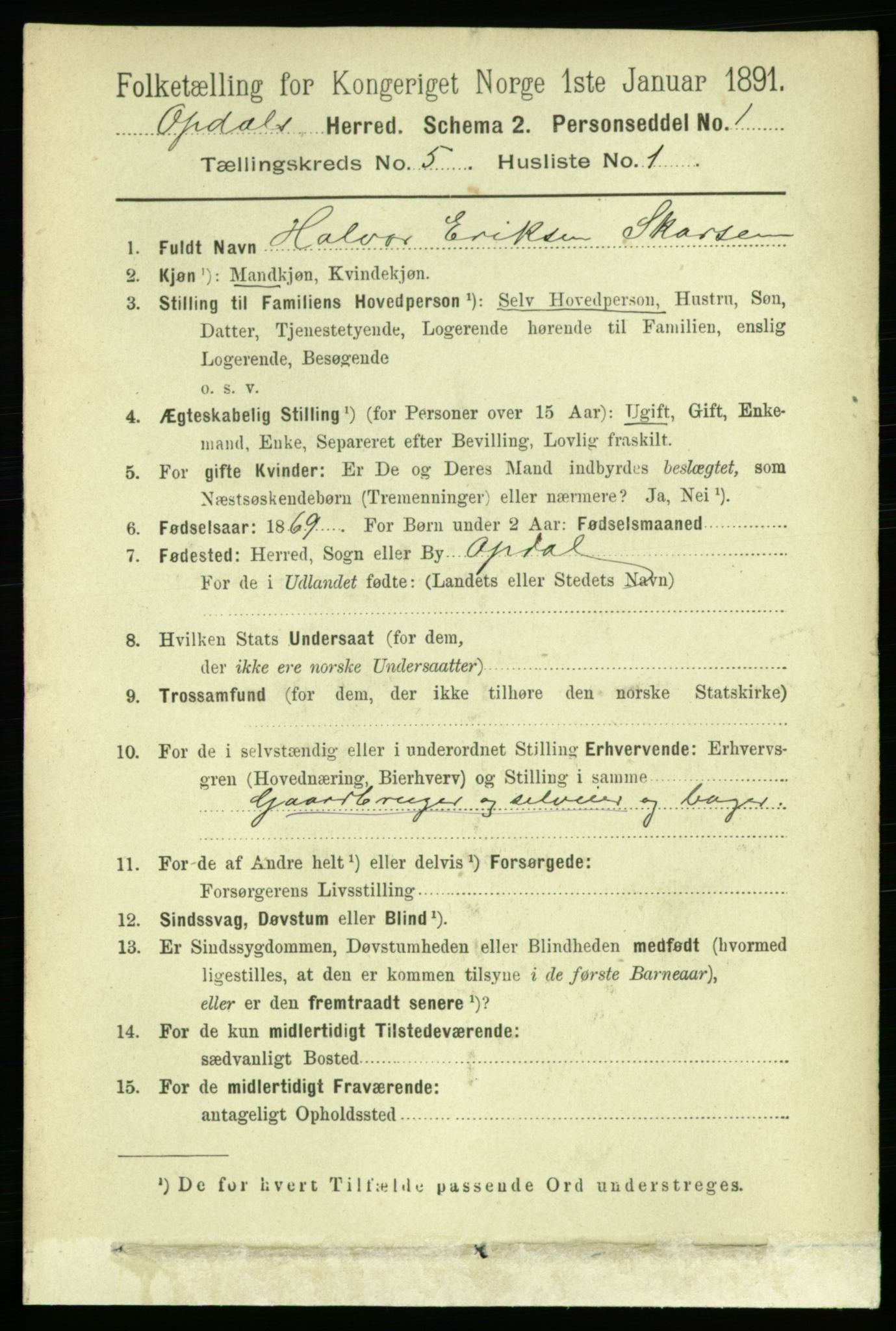 RA, 1891 census for 1634 Oppdal, 1891, p. 2223